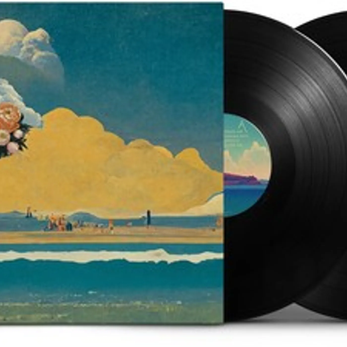 Temples Exotico Vinyl Record