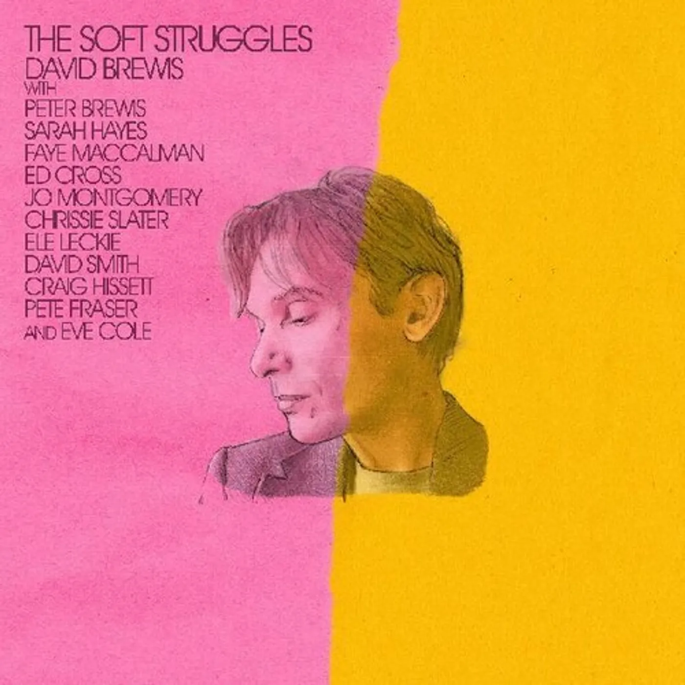 David Brewis SOFT STRUGGLES CD