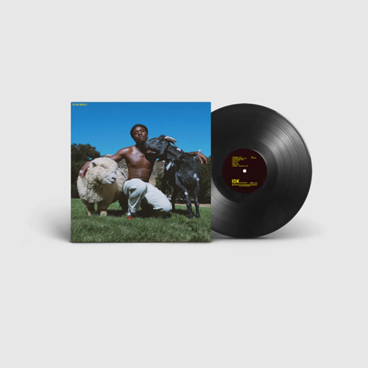 IDK Is He Real? Vinyl Record