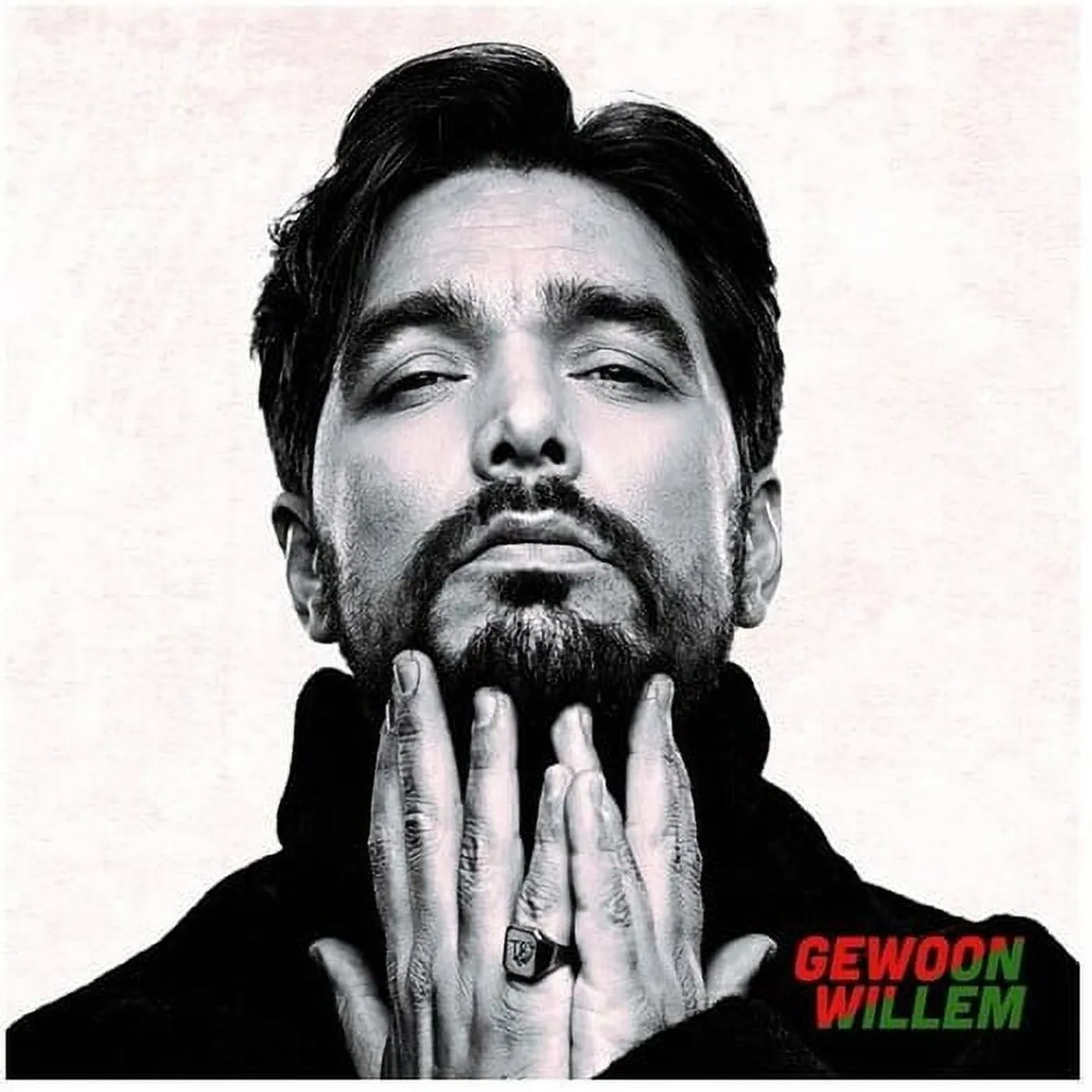 Waylon GEWOON WILLEM Vinyl Record