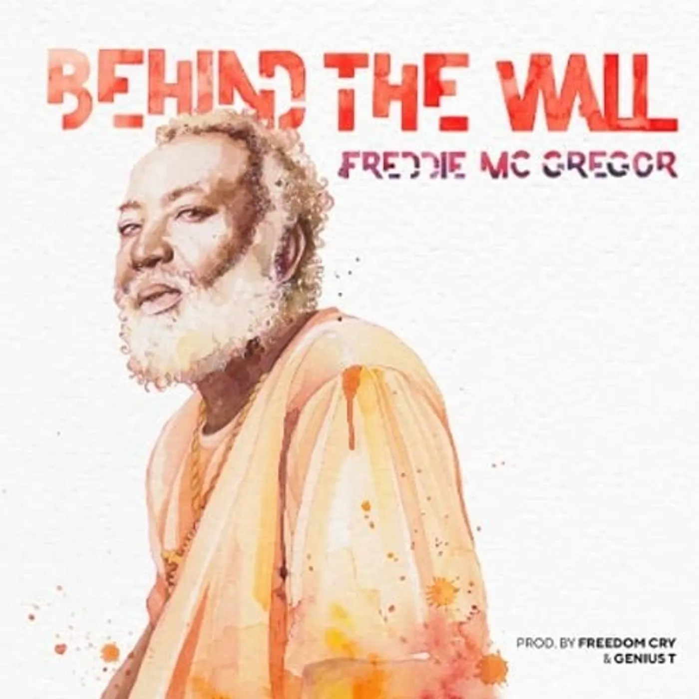 Freddie McGregor Behind the Wall Vinyl Record