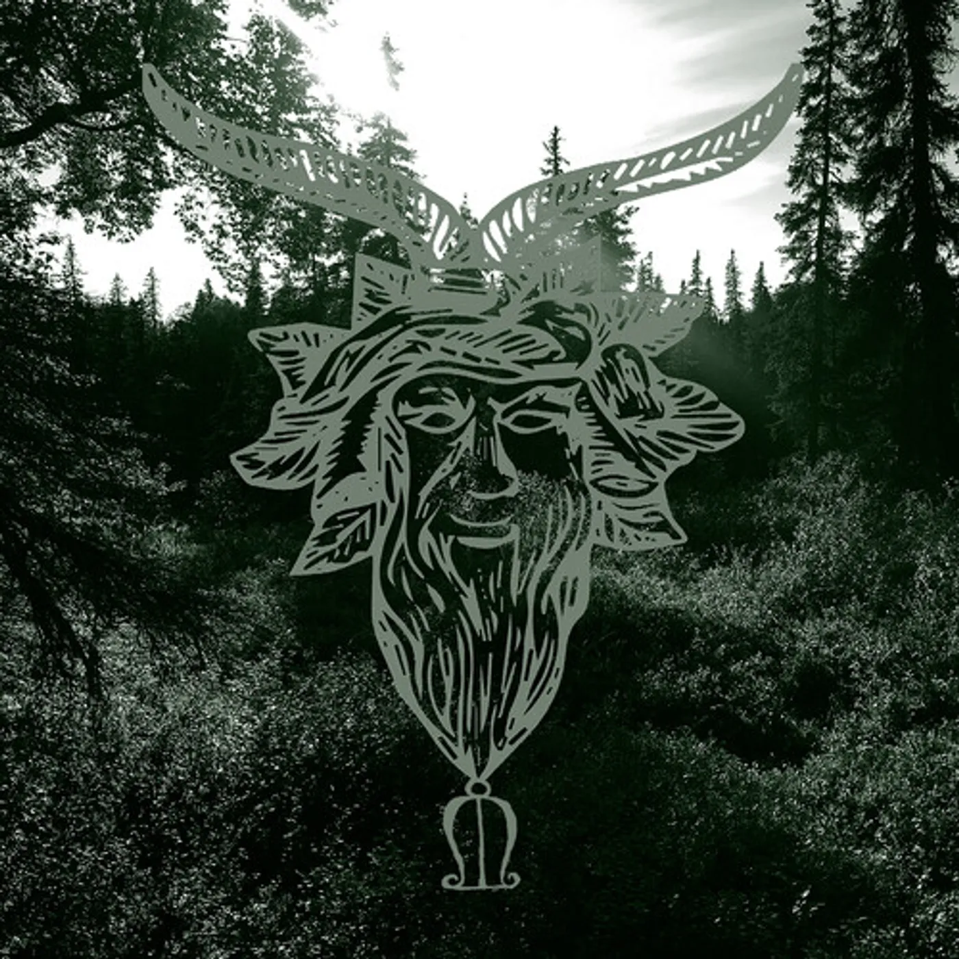 Common Eider, King Eider YEARN CD