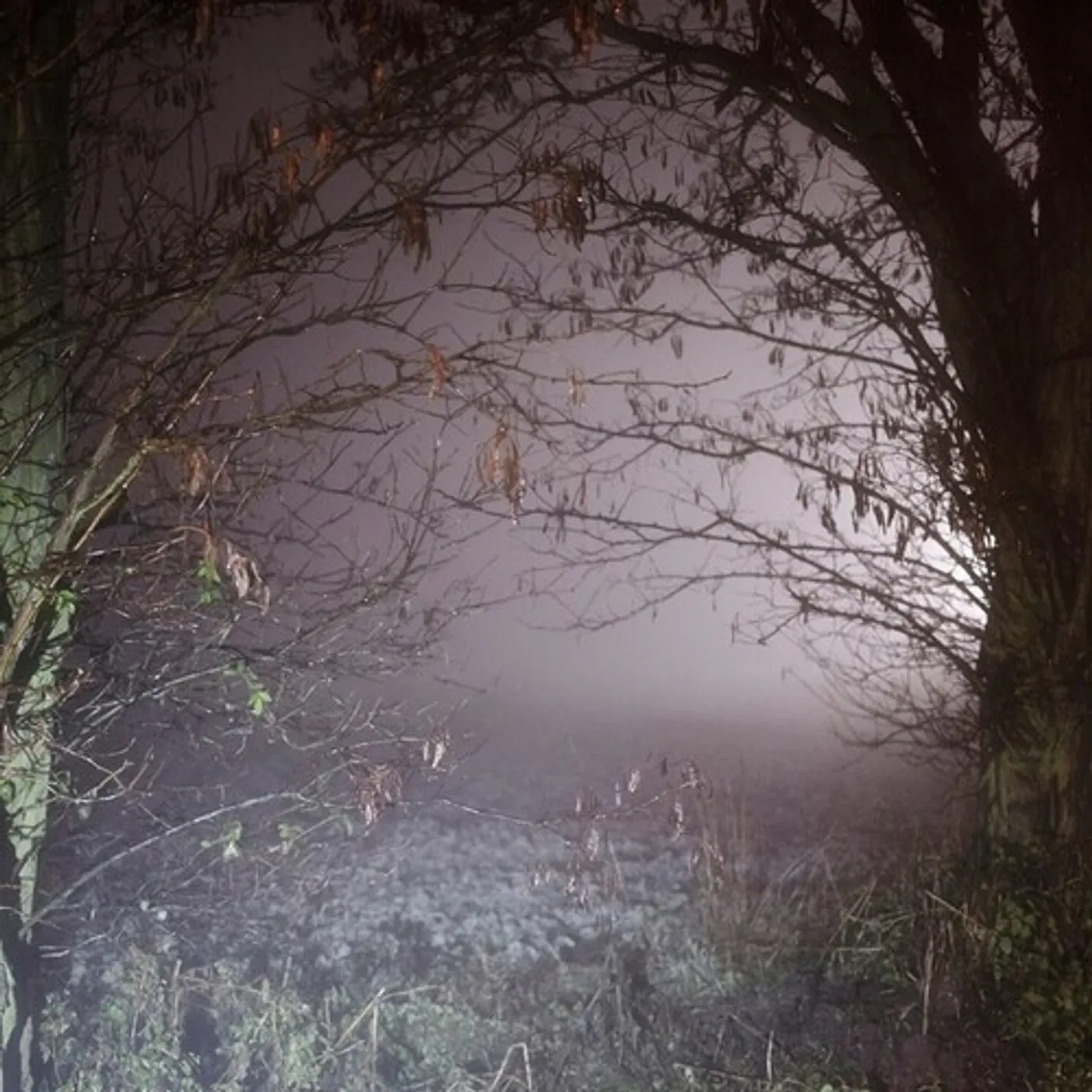 Earth Trax CLOSER NOW CD