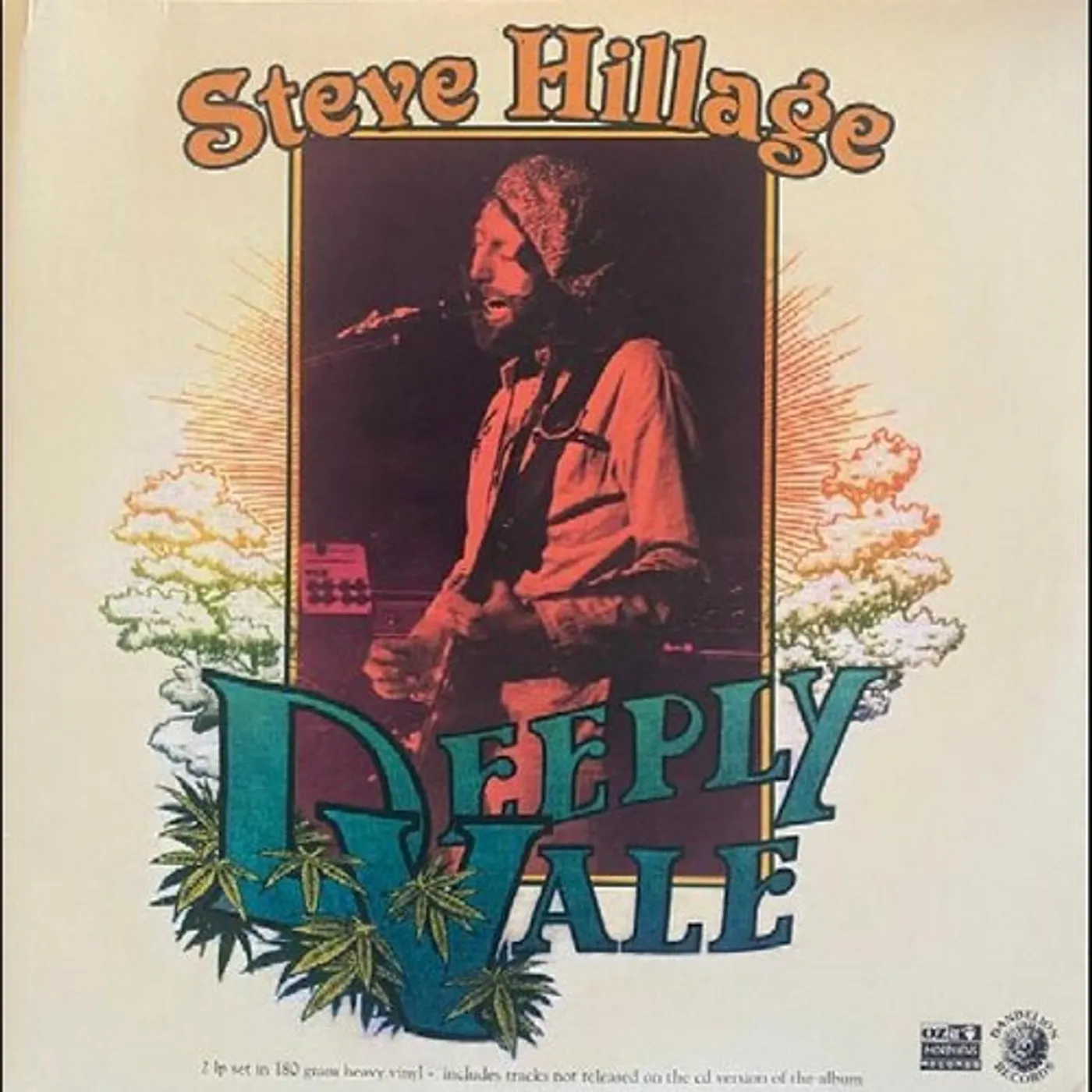 Steve Hillage LIVE AT DEEPLY VALE Vinyl Record