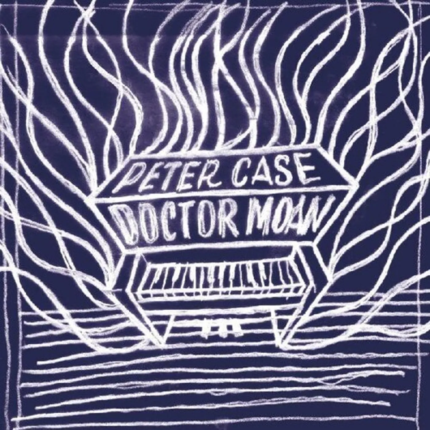 Peter Case DOCTOR MOAN CD