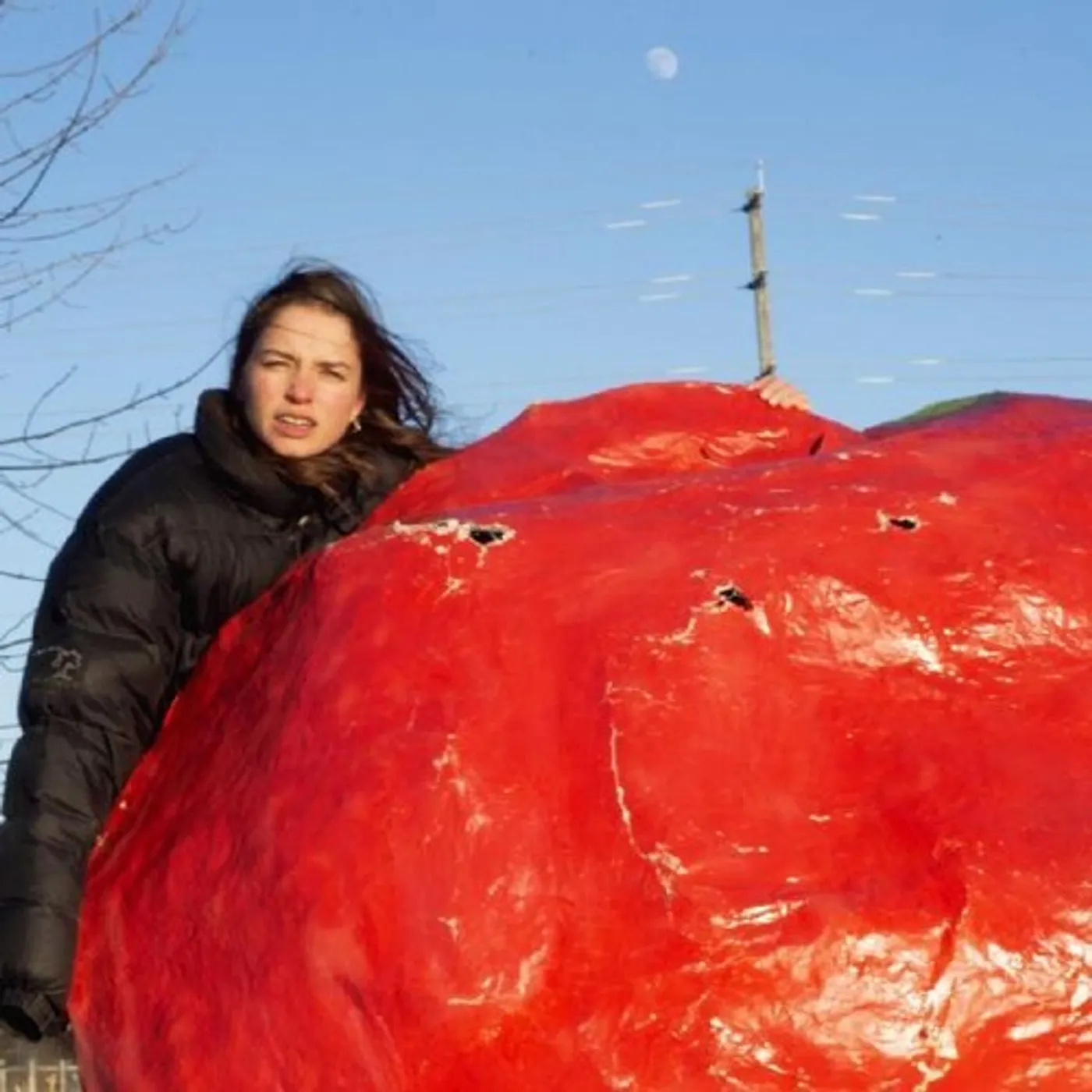 PACKS CRISPY CRUNCHY NOTHING CD