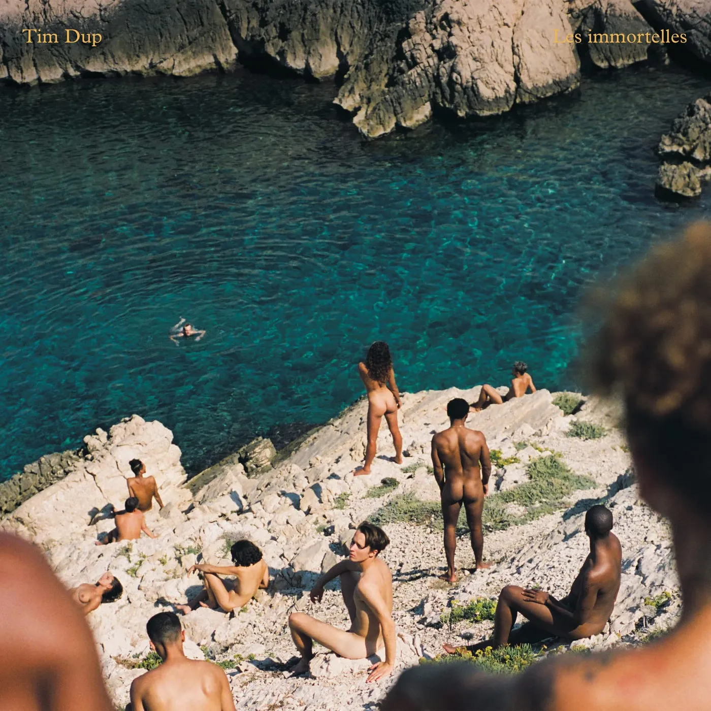 Tim Dup LES IMMORTELLES Vinyl Record