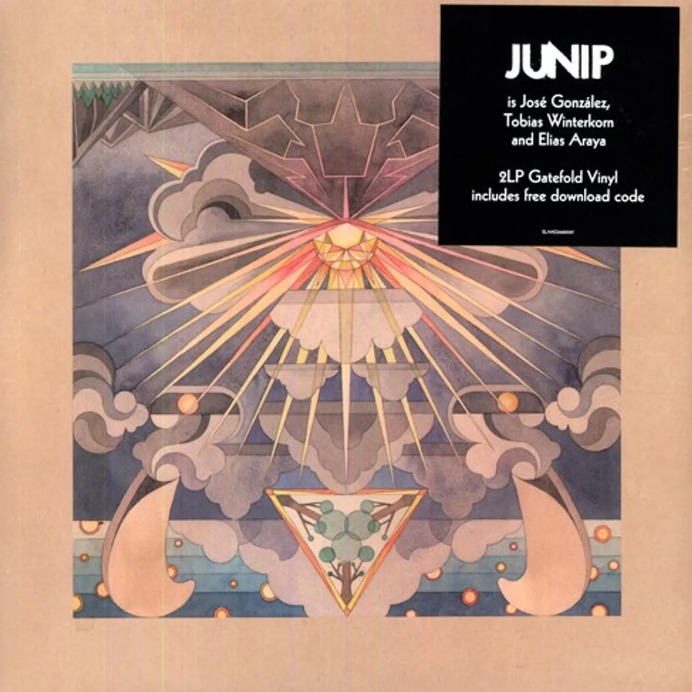 Junip Fields Vinyl Record