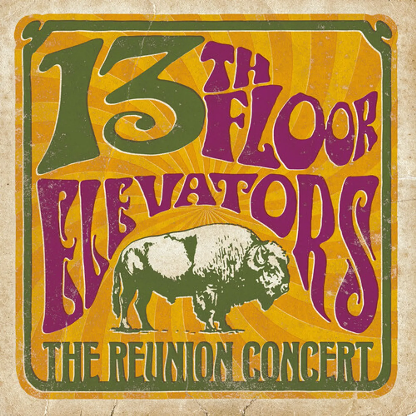 13th Floor Elevators REUNION CONCERT Vinyl Record