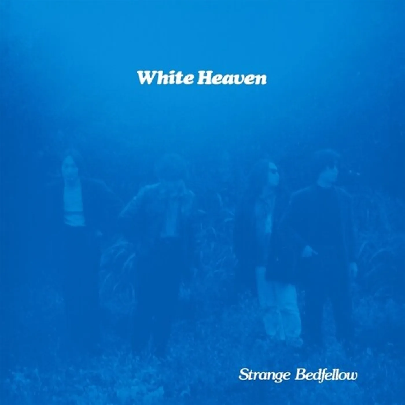 White Heaven Strange Bedfellow Vinyl Record