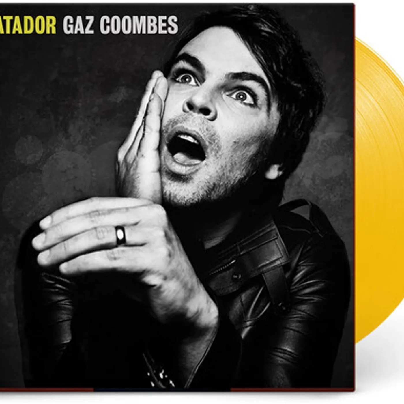 Gaz Coombes Matador Vinyl Record