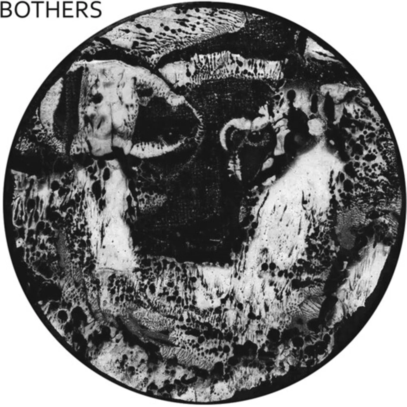 Bothers II Vinyl Record