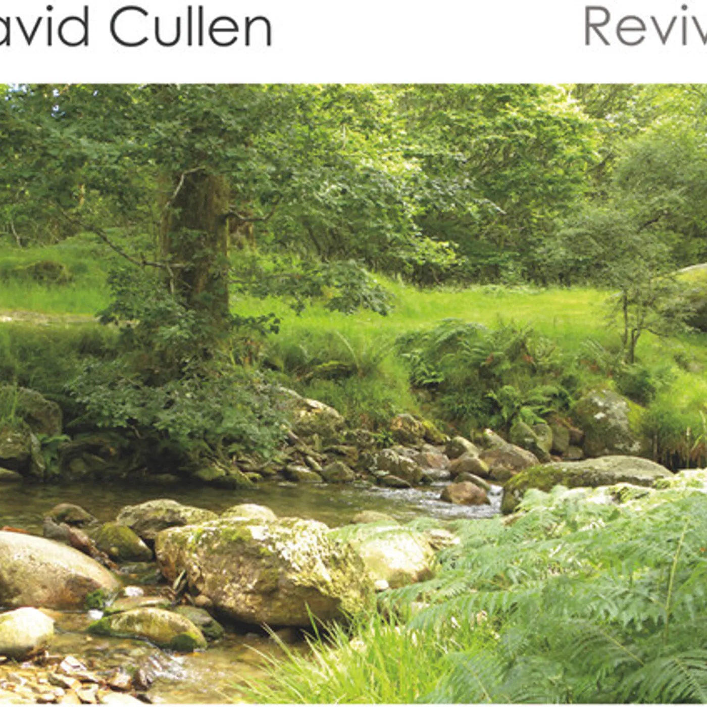 David Cullen REVIVAL CD