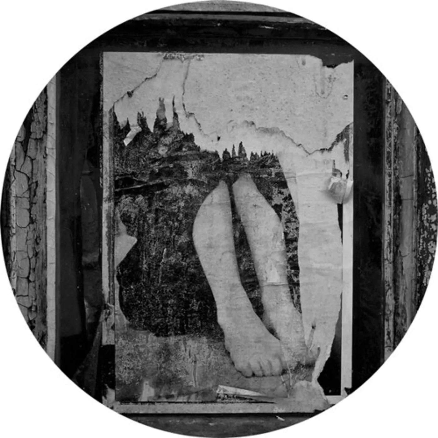 Fabio Orsi IL RICORDO IMPROVVISO DELL'ASSOLUTO STUPORE Vinyl Record