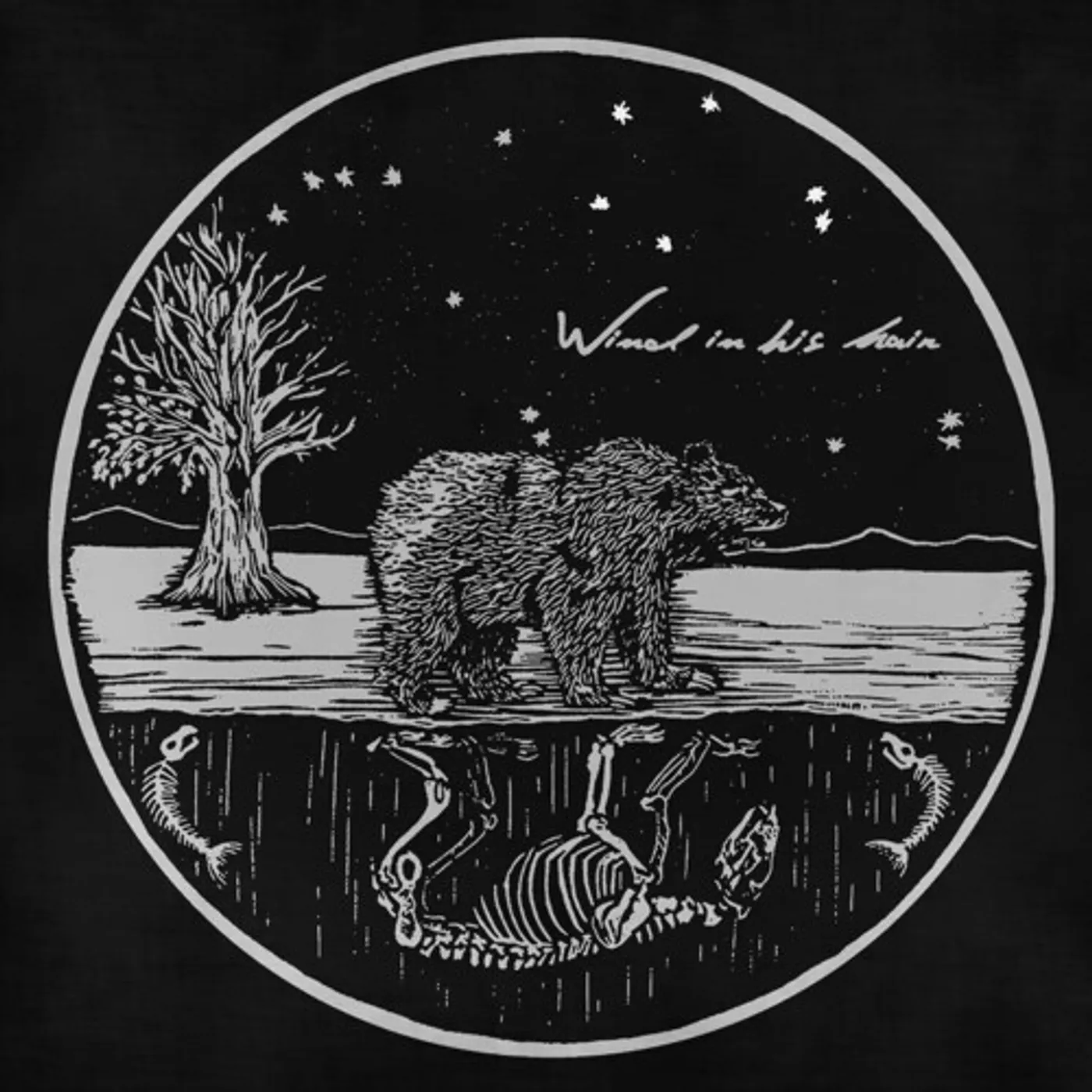 Wind In His Hair FUTURE PRIMITIVES Vinyl Record