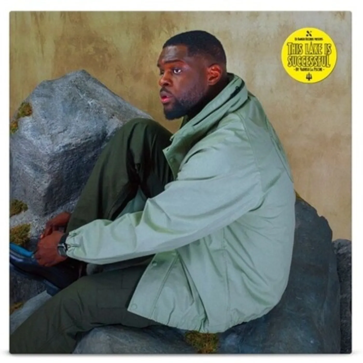 Varnish La Piscine THIS LAKE IS SUCCESSFUL Vinyl Record