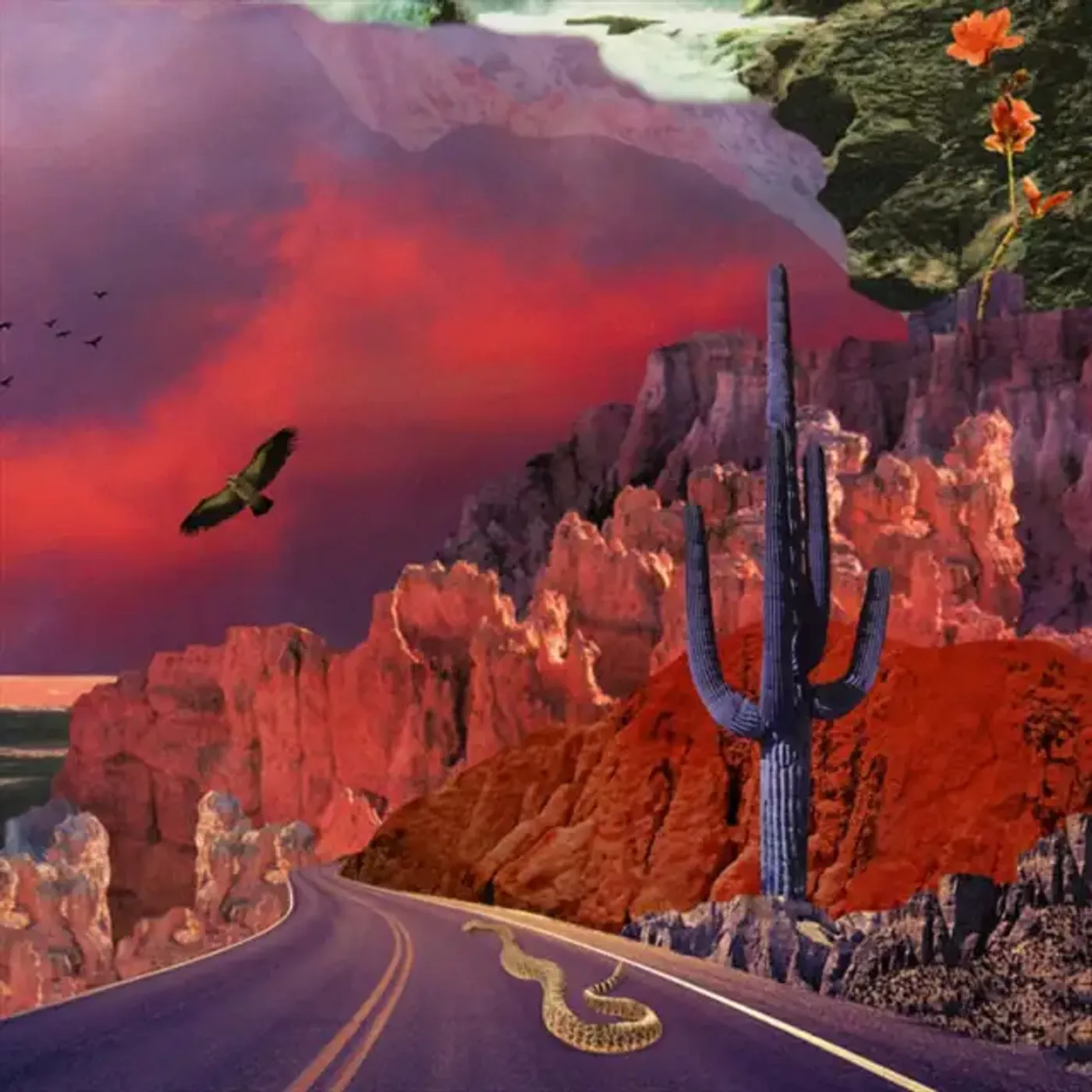 Turkuaz APOLLYON Vinyl Record