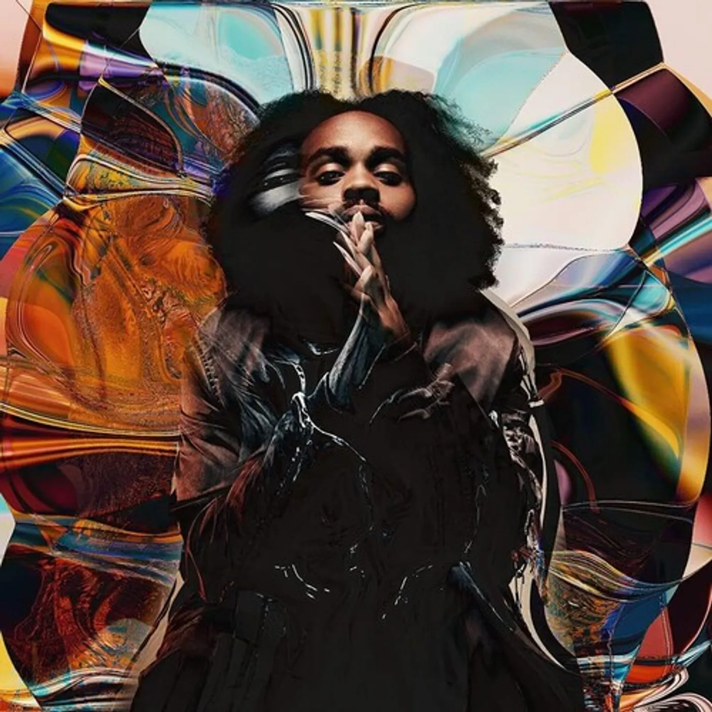 Fly Anakin Frank Vinyl Record