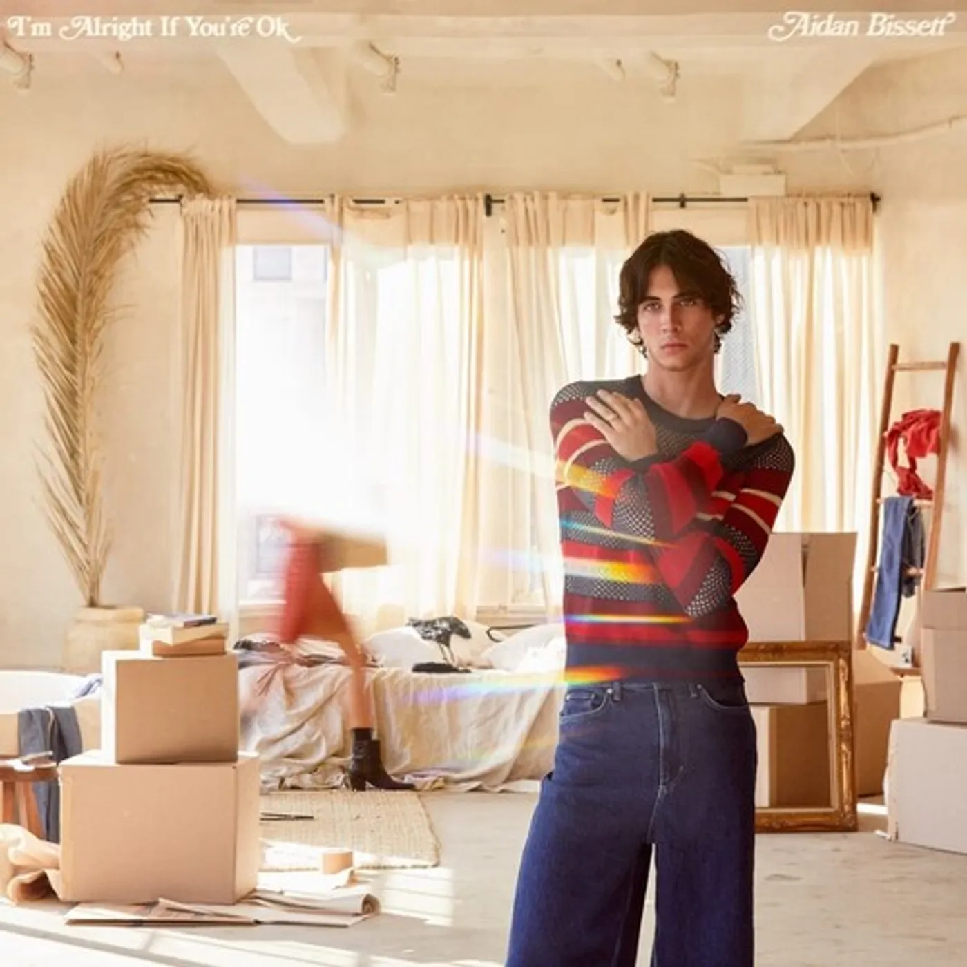 Aidan Bissett I'm Alright If You're Ok Vinyl Record