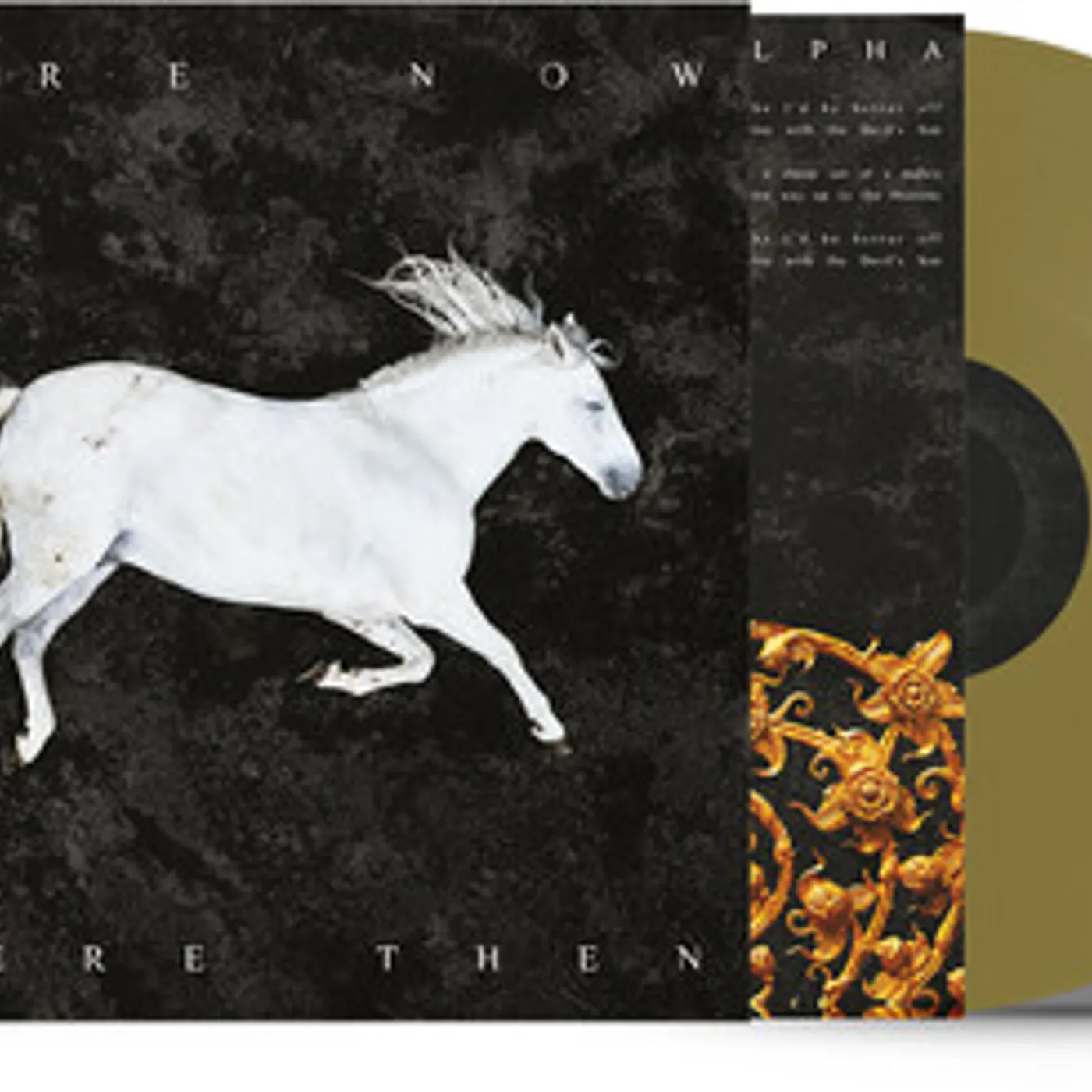 DOOL HERE NOW THERE THEN Vinyl Record