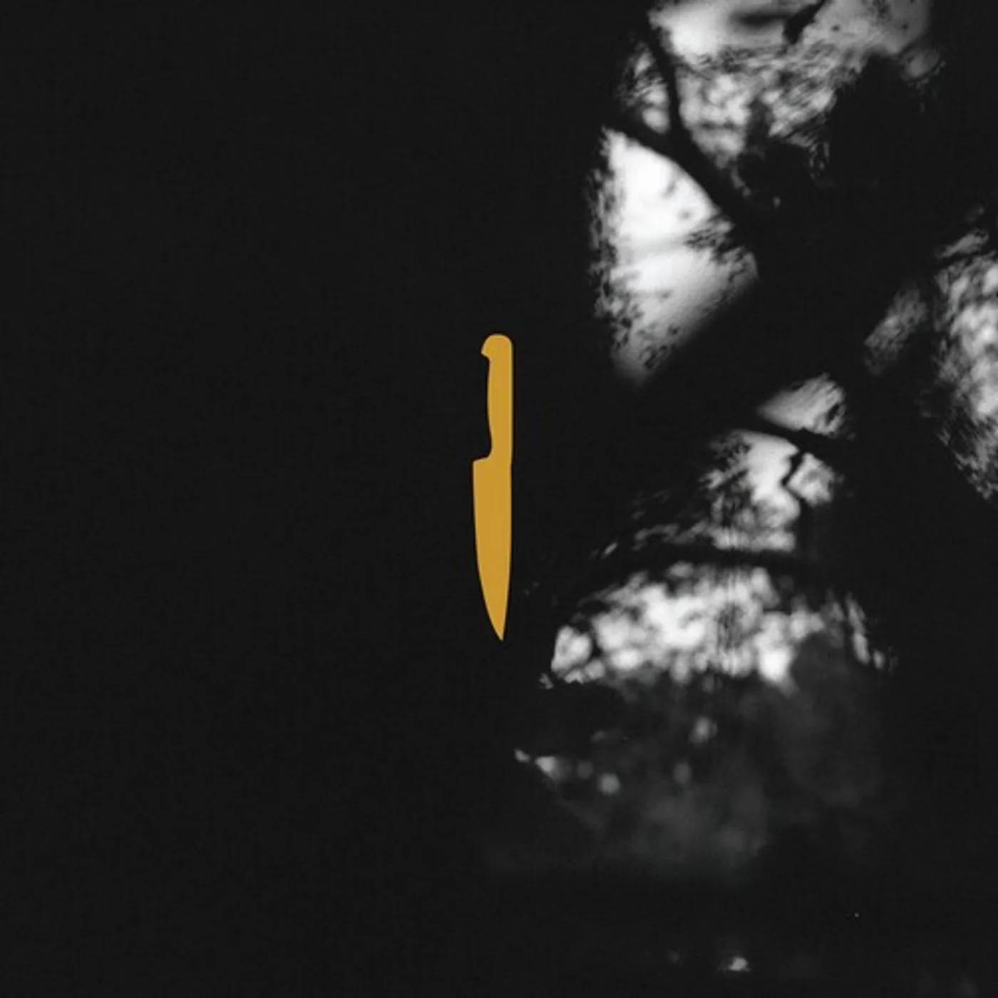 The Silent Comedy ENEMIES MULTIPLY Vinyl Record