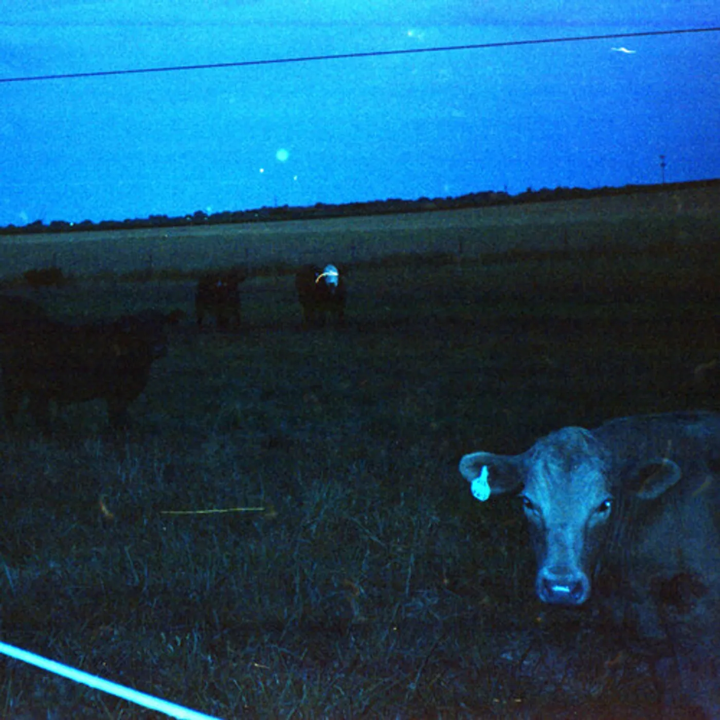 waveform* ANTARCTICA - DARK BLUE Vinyl Record