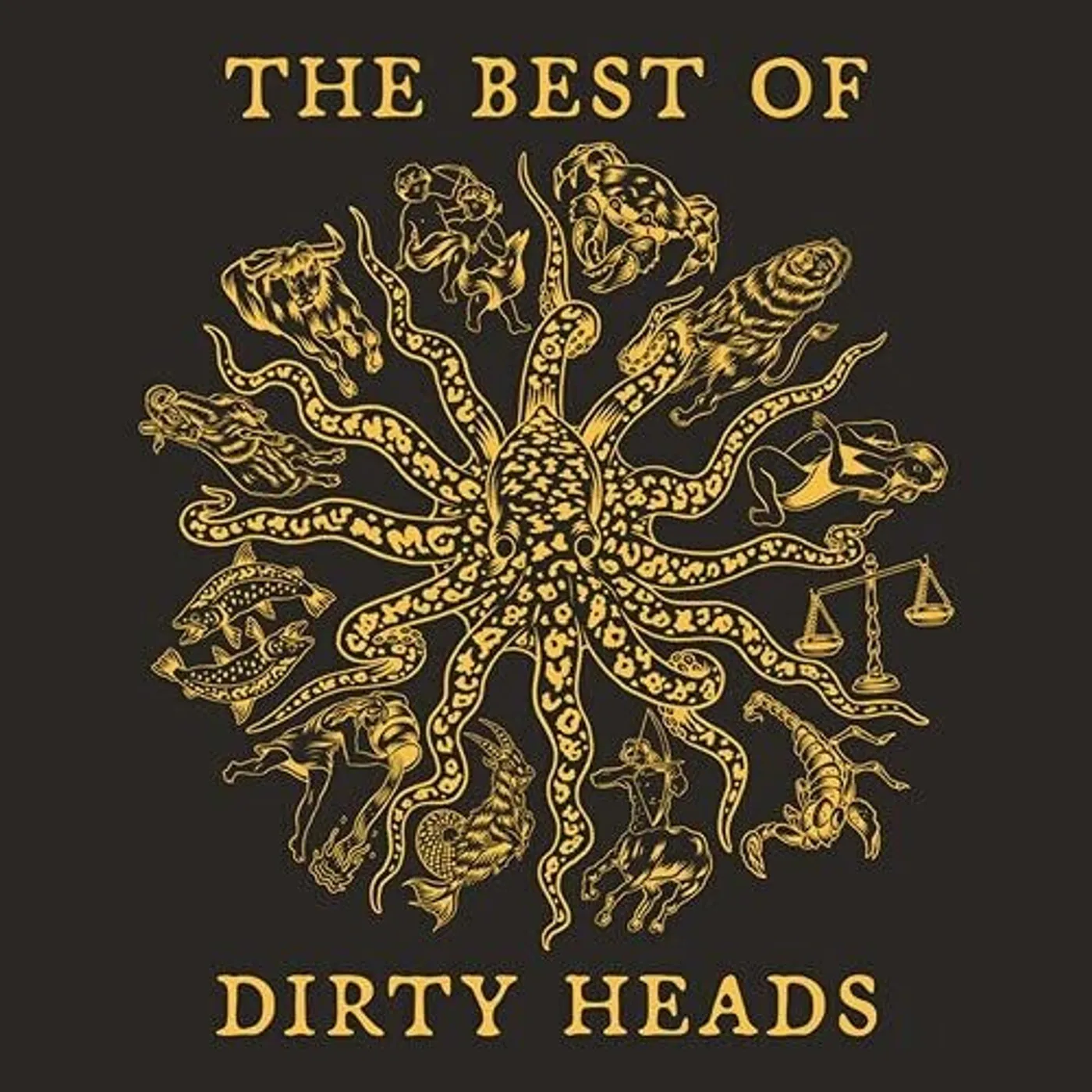 Best Of Dirty Heads Vinyl Record