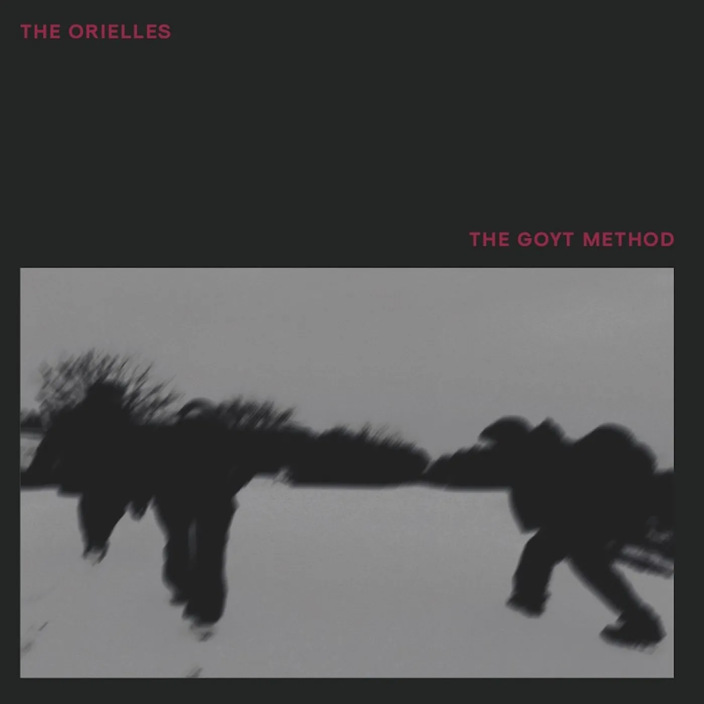The Orielles Goyt Method Vinyl Record
