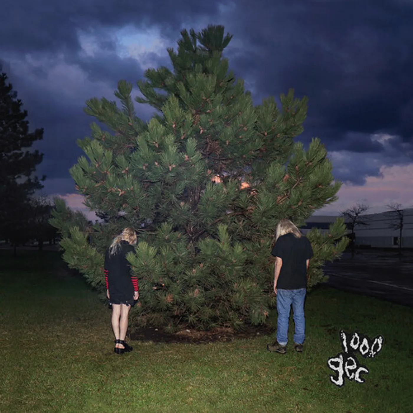 100 gecs 1000 GECS CD