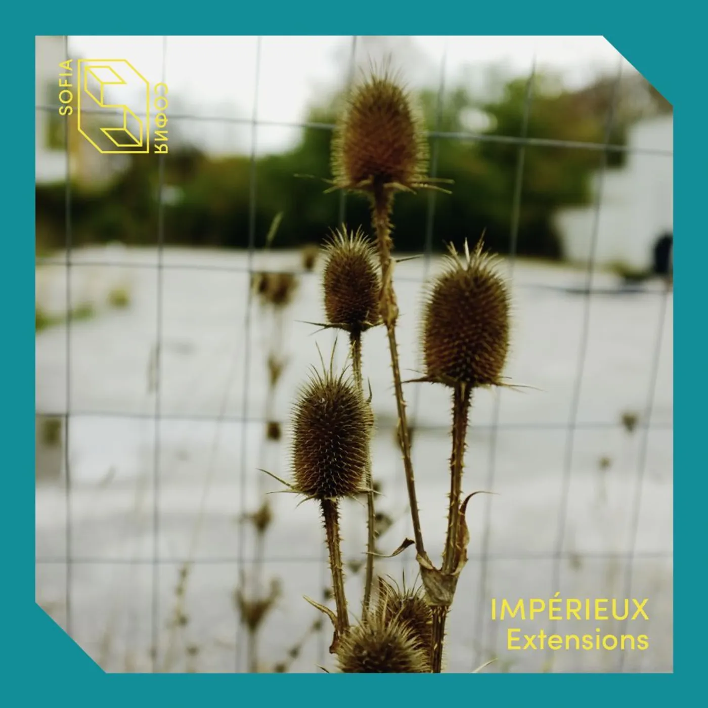 Impérieux Extensions EP Vinyl Record