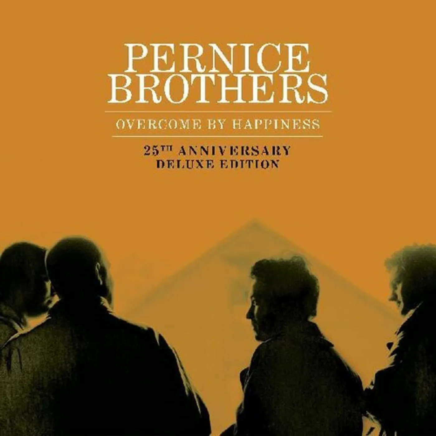 Pernice Brothers Overcome by Happiness Vinyl Record