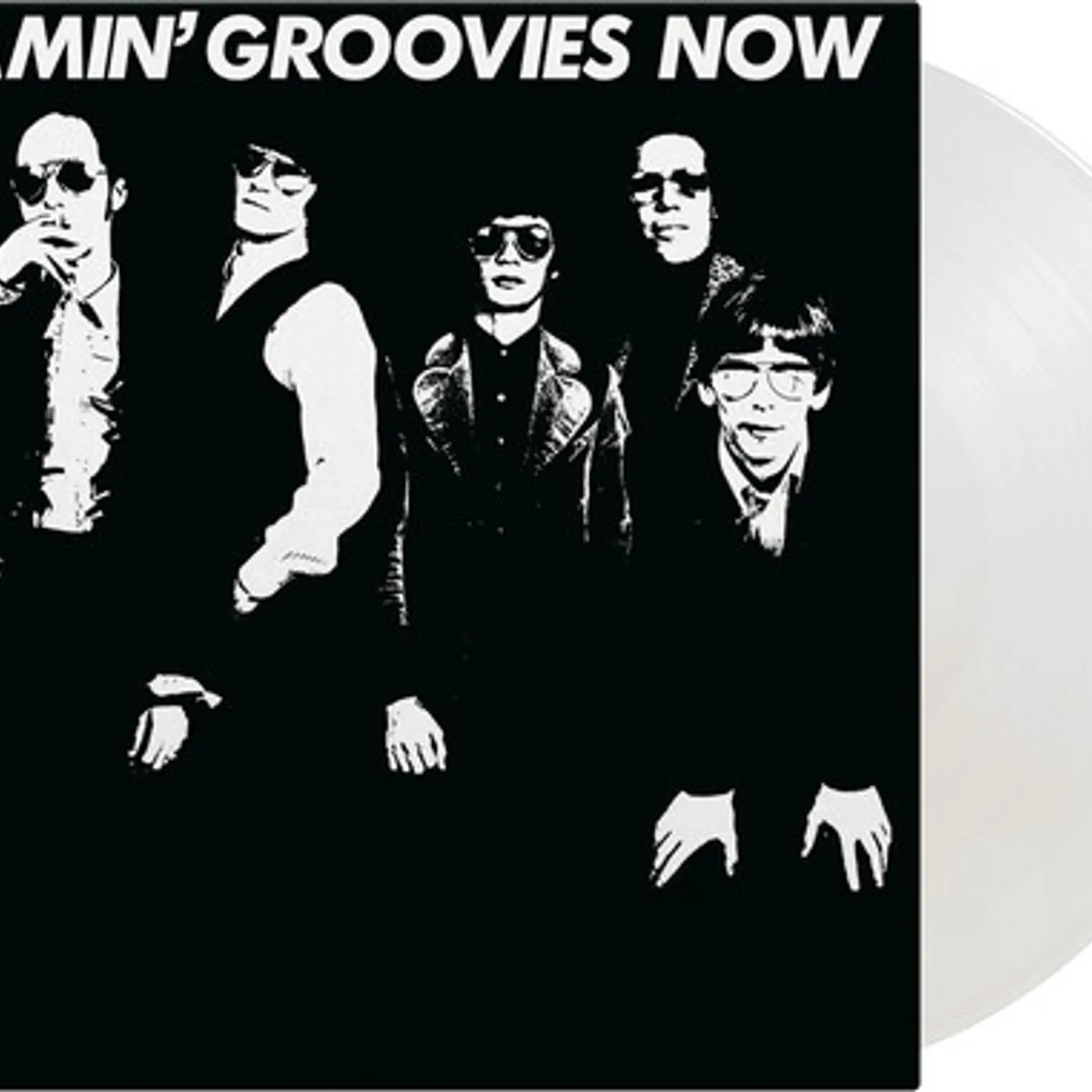 Flamin' Groovies Now Vinyl Record