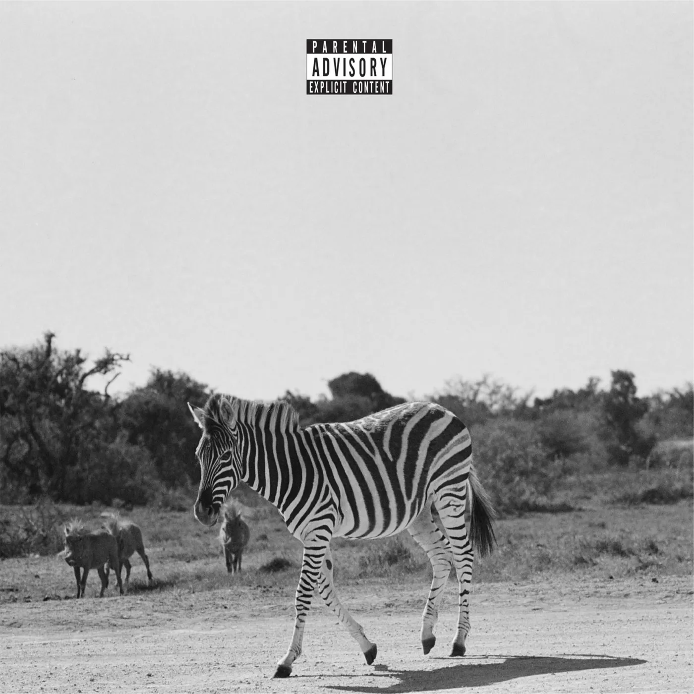 Louis VI EARTHLING Vinyl Record