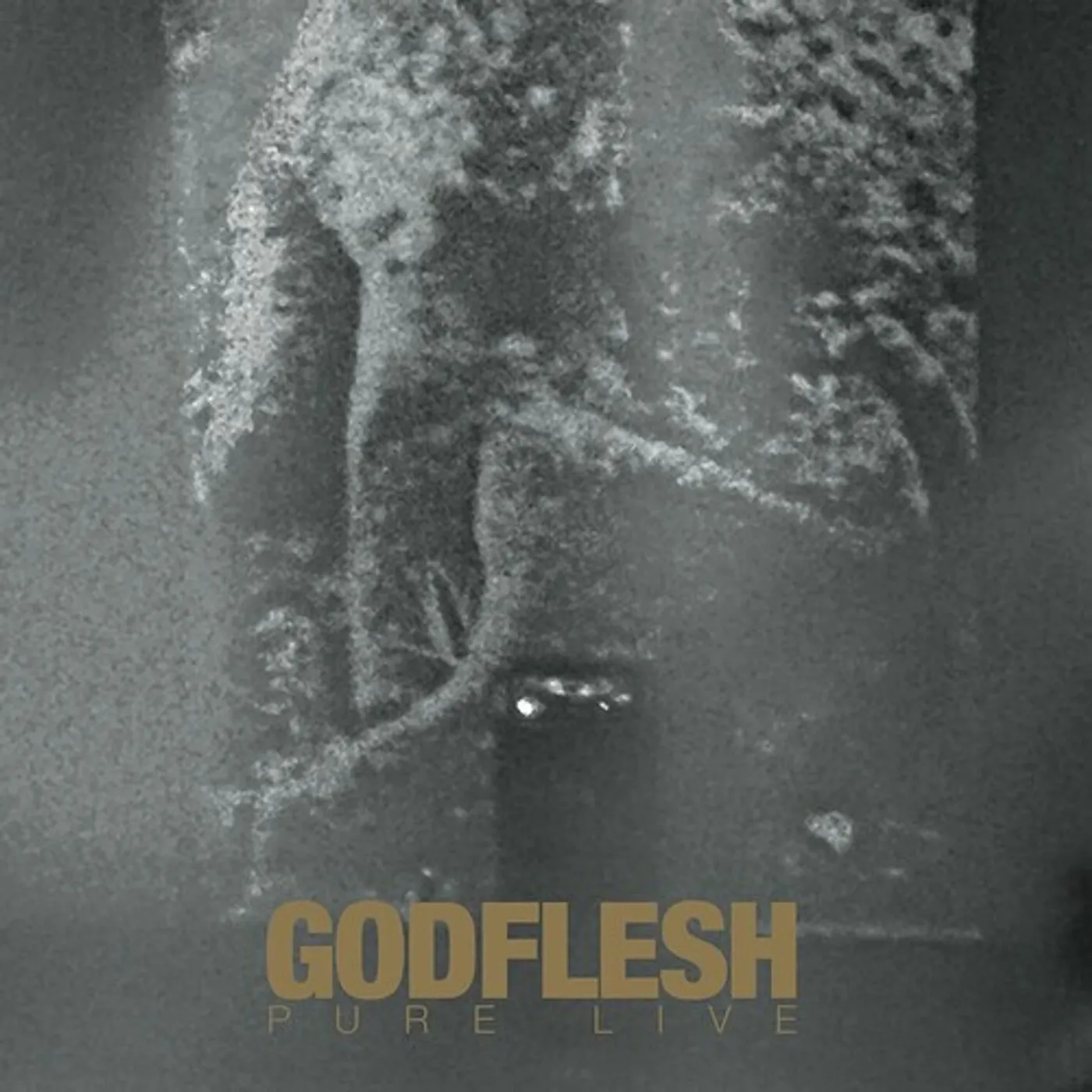 Godflesh PURE: LIVE Vinyl Record