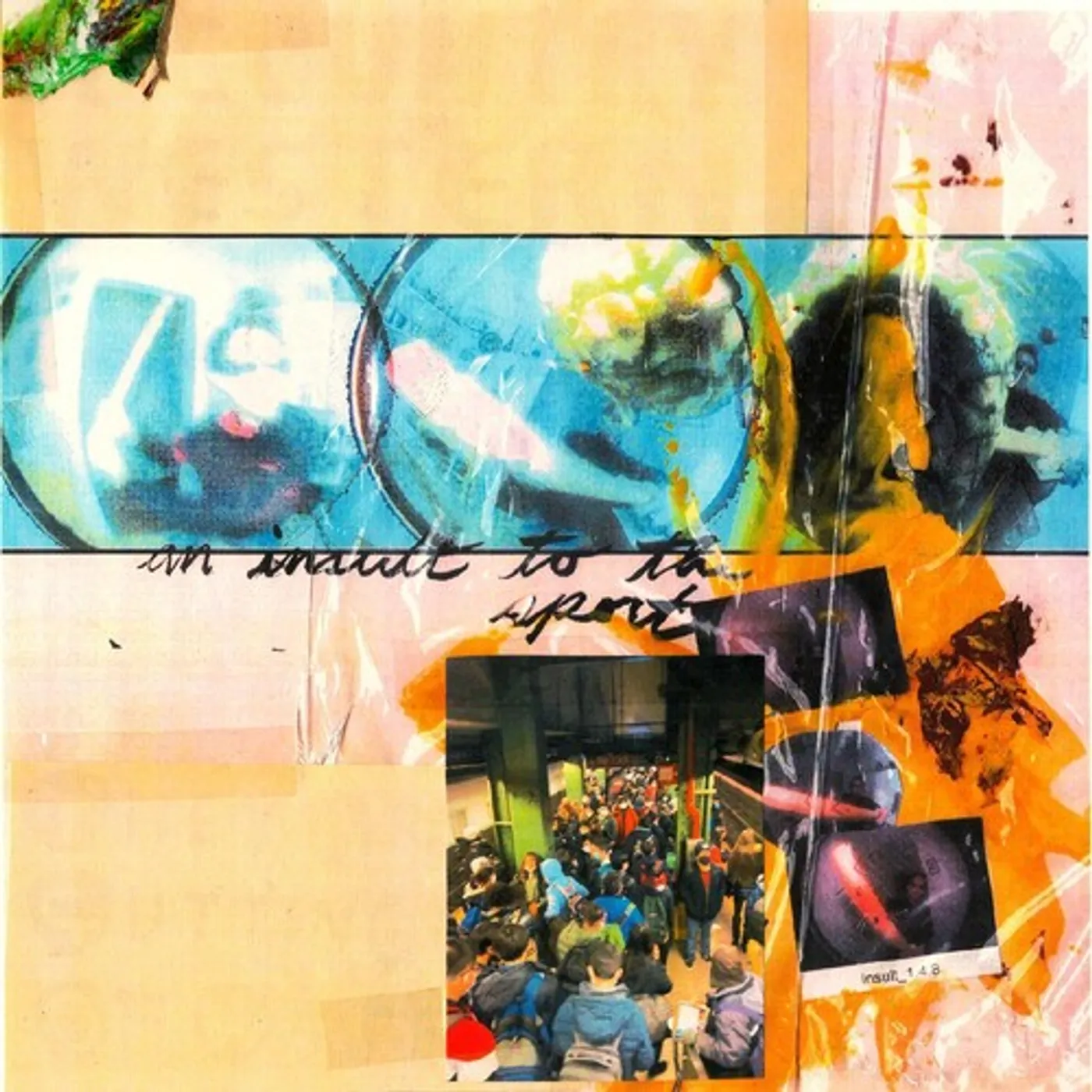 They Are Gutting a Body of Water AN INSULT TO THE SPORT Vinyl Record