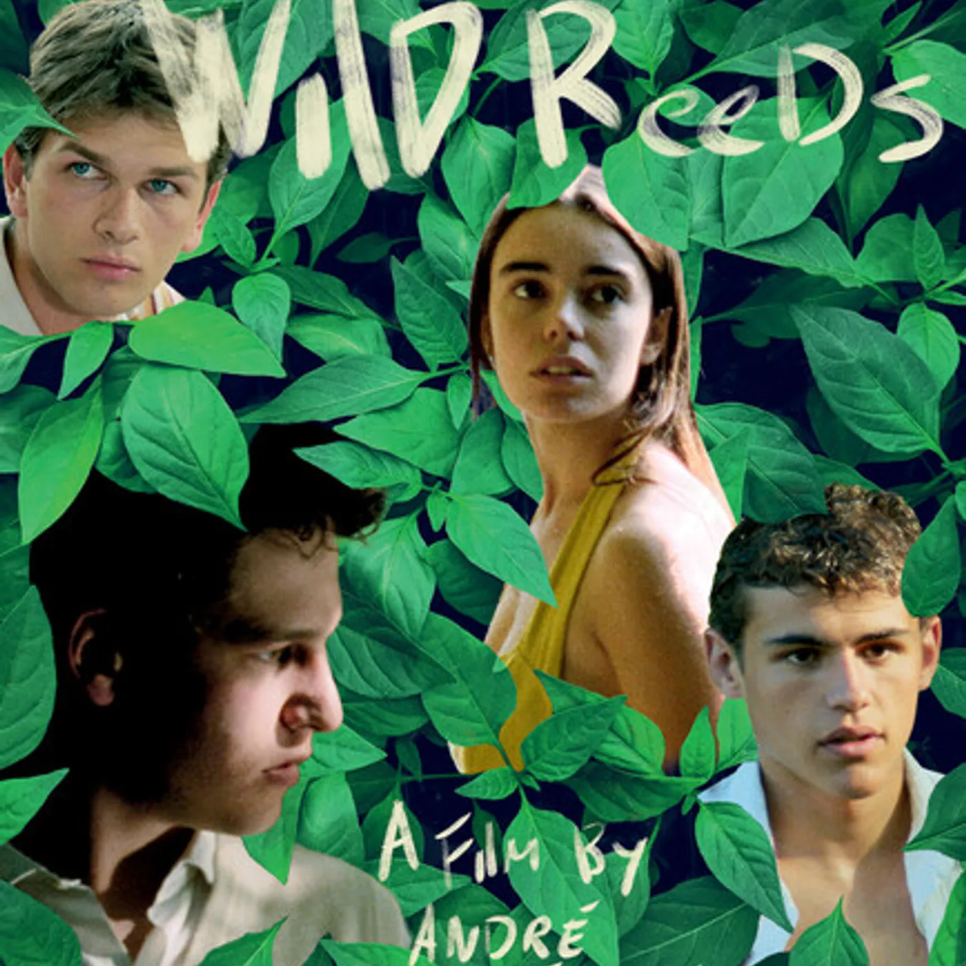 The Wild Reeds Blu-ray