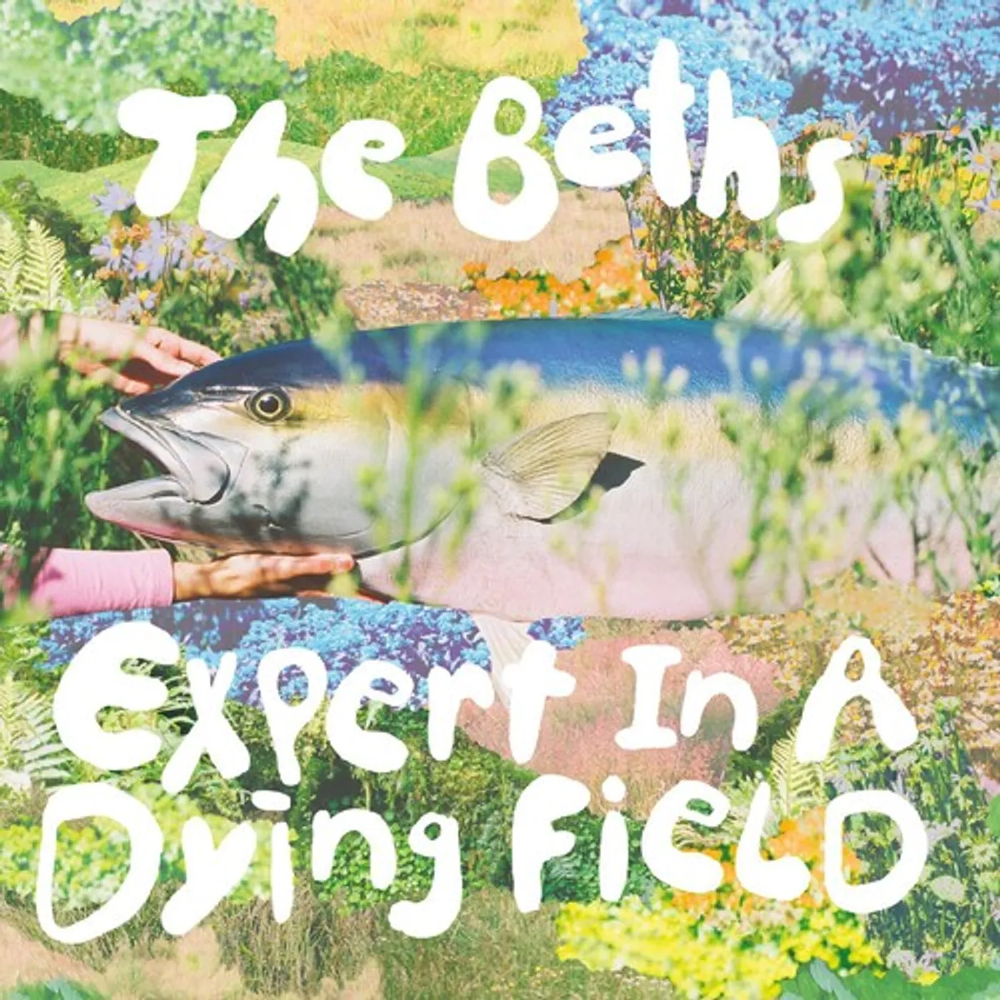 The Beths Expert In A Dying Field (Bone) Vinyl Record