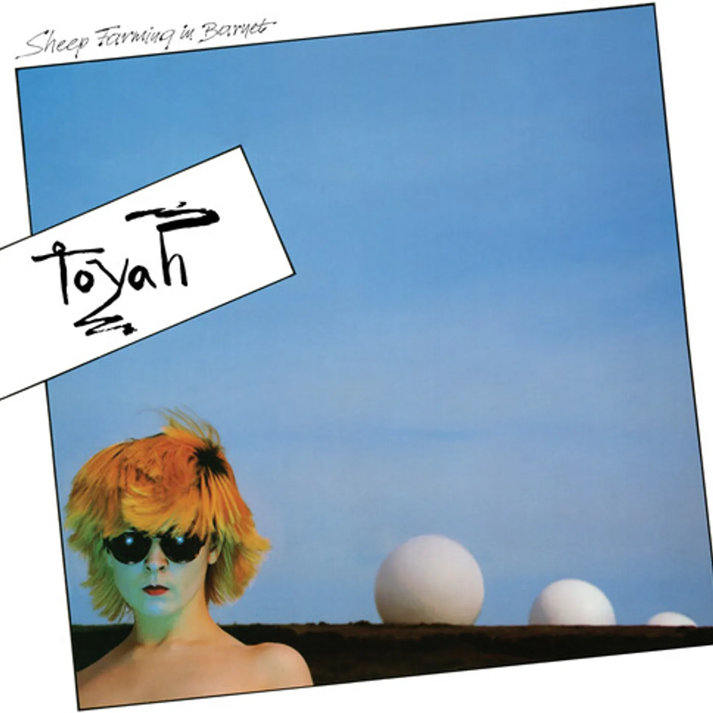 Toyah Sheep Farming in Barnet Vinyl Record