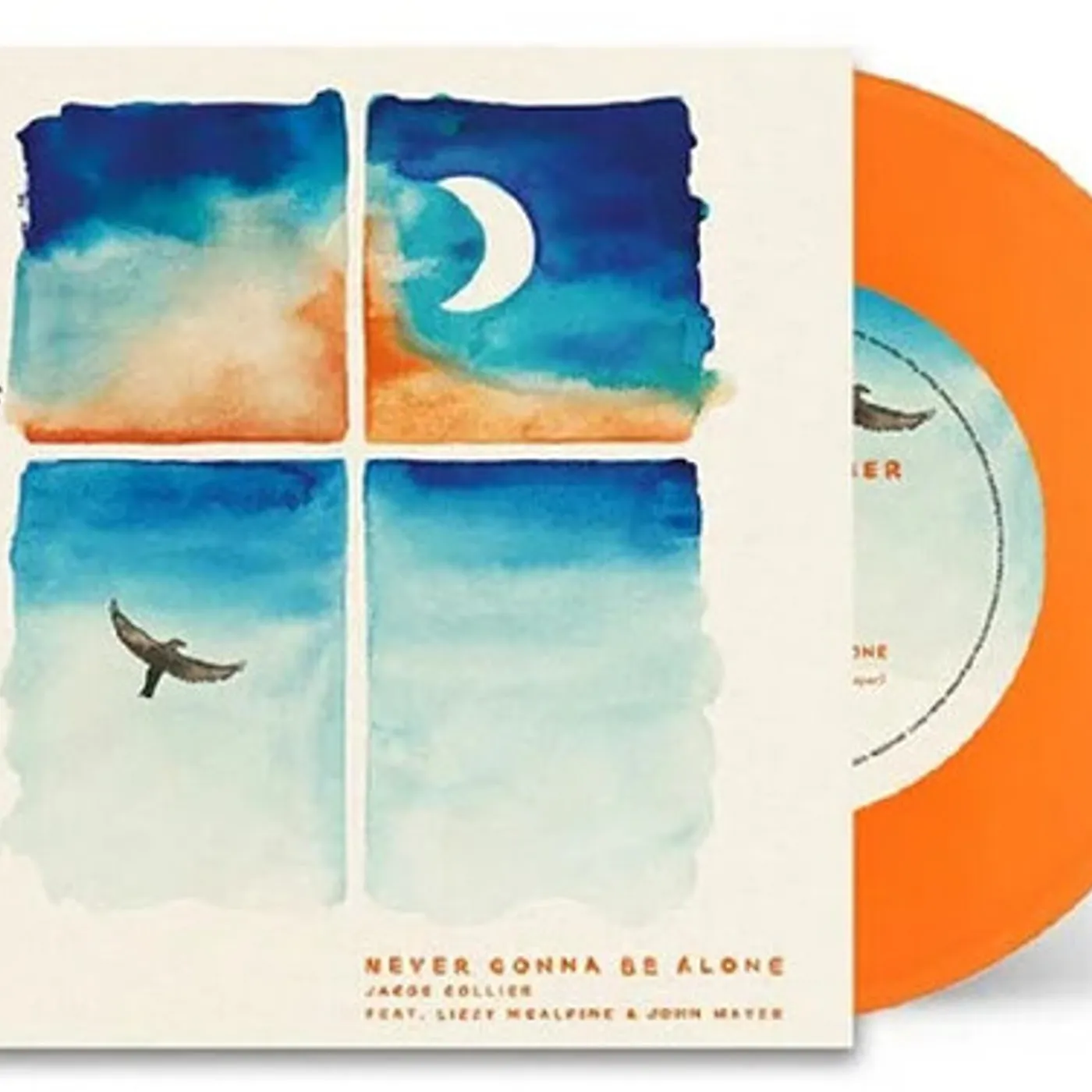 Jacob Collier Never Gonna Be Alone Vinyl Record
