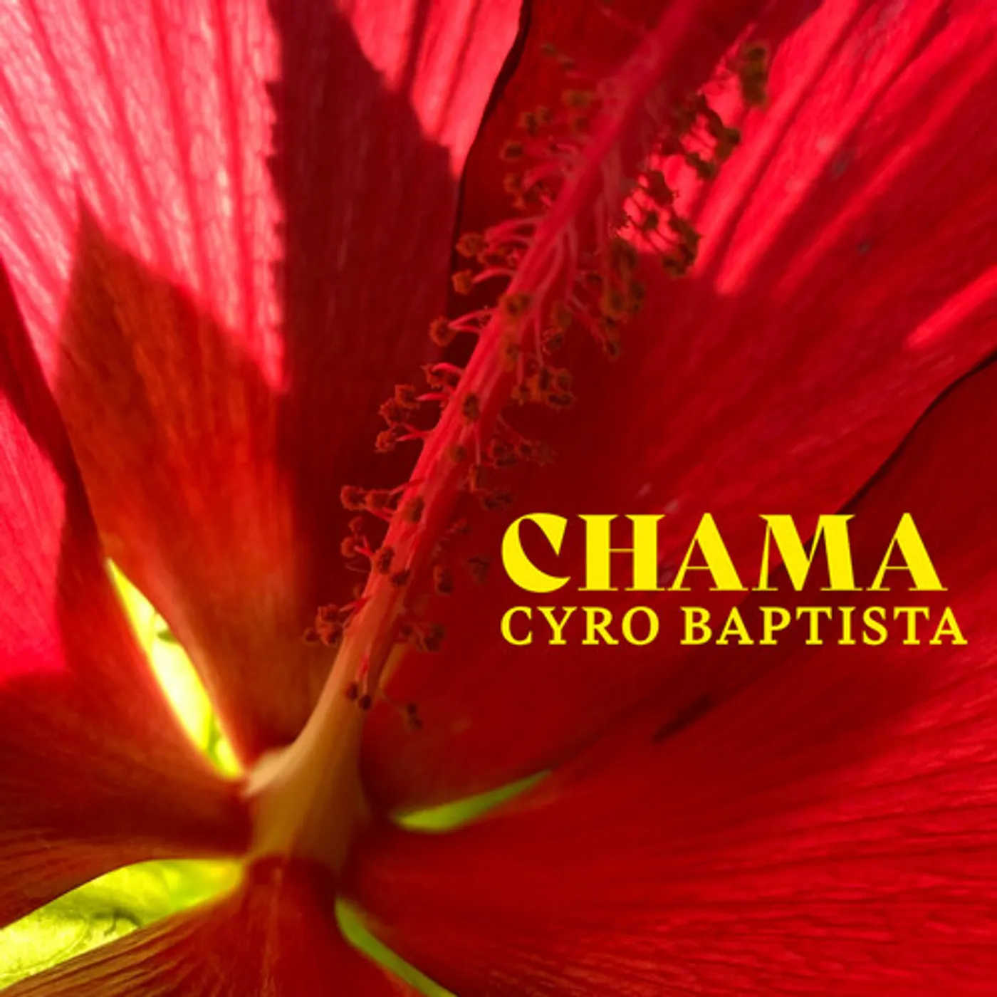 Cyro Baptista CHAMA CD