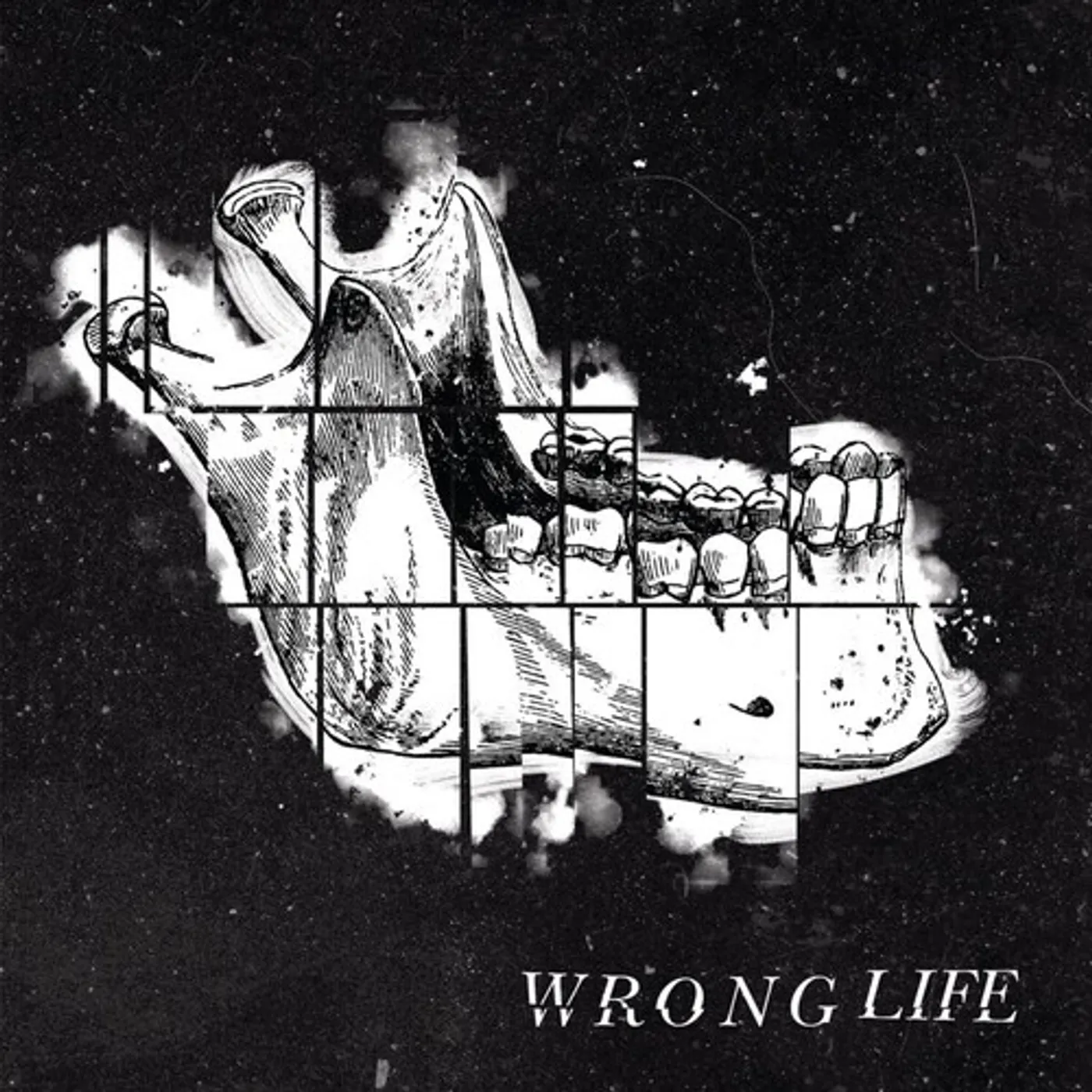 Wrong Life Vinyl Record