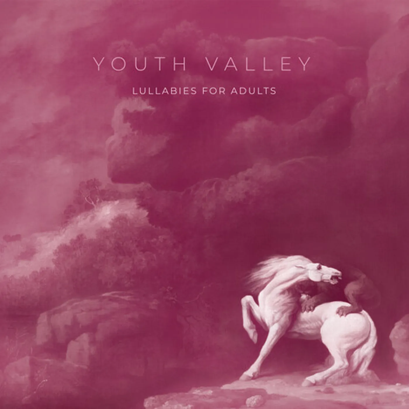 Youth Valley LULLABIES FOR ADULTS Vinyl Record