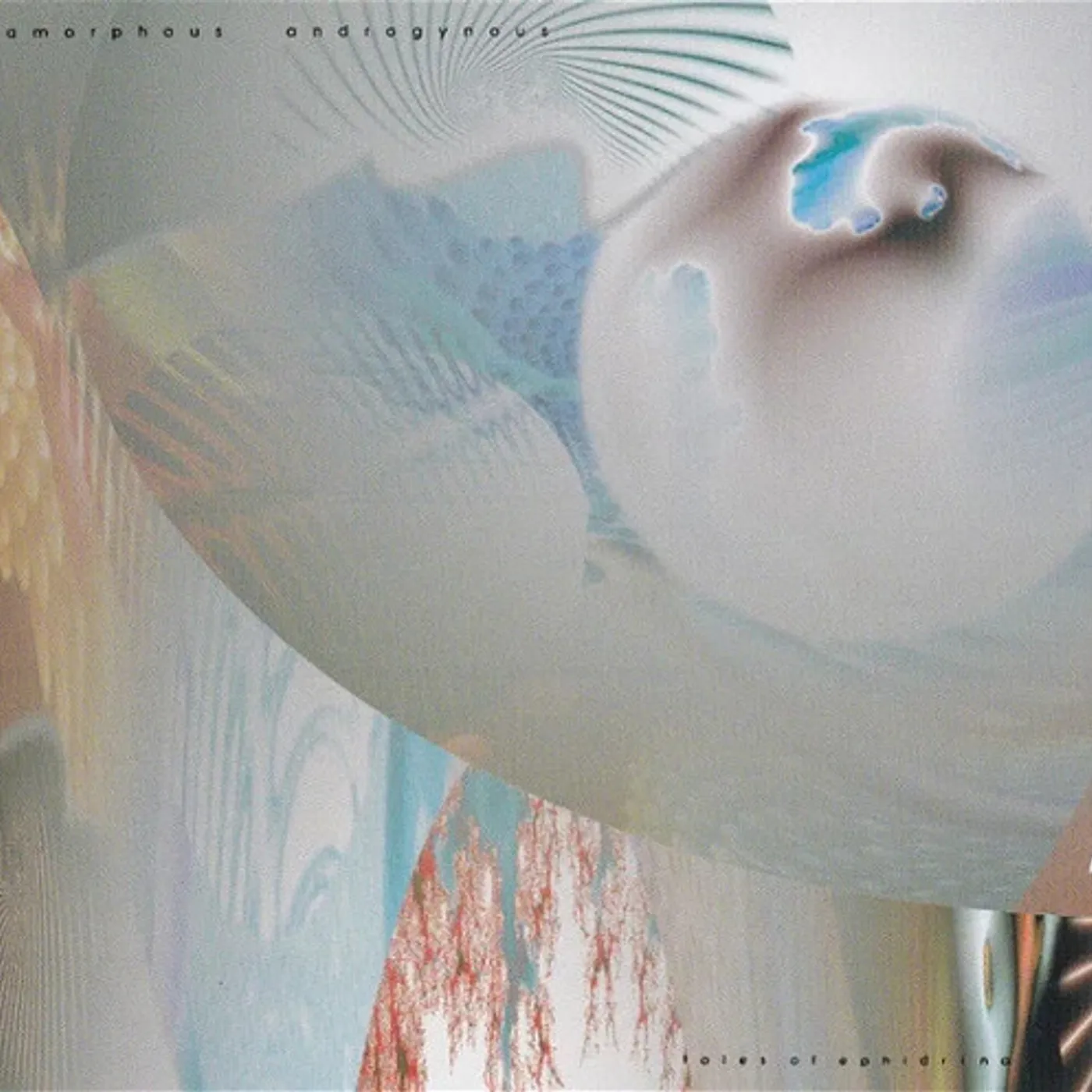 Amorphous Androgynous TALES OF EPHIDRINA CD