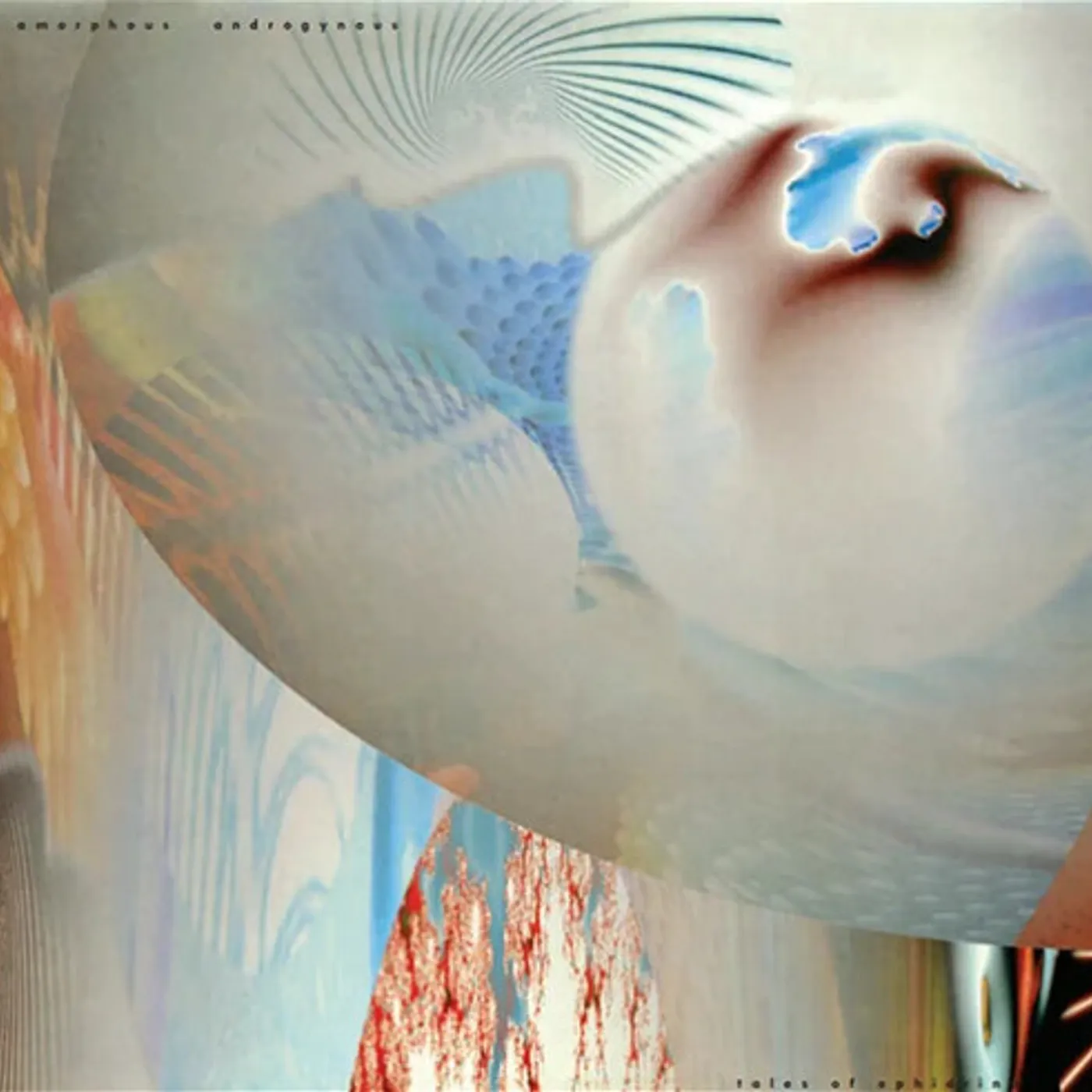 Amorphous Androgynous Tales Of Ephidrina (2LP) Vinyl Record