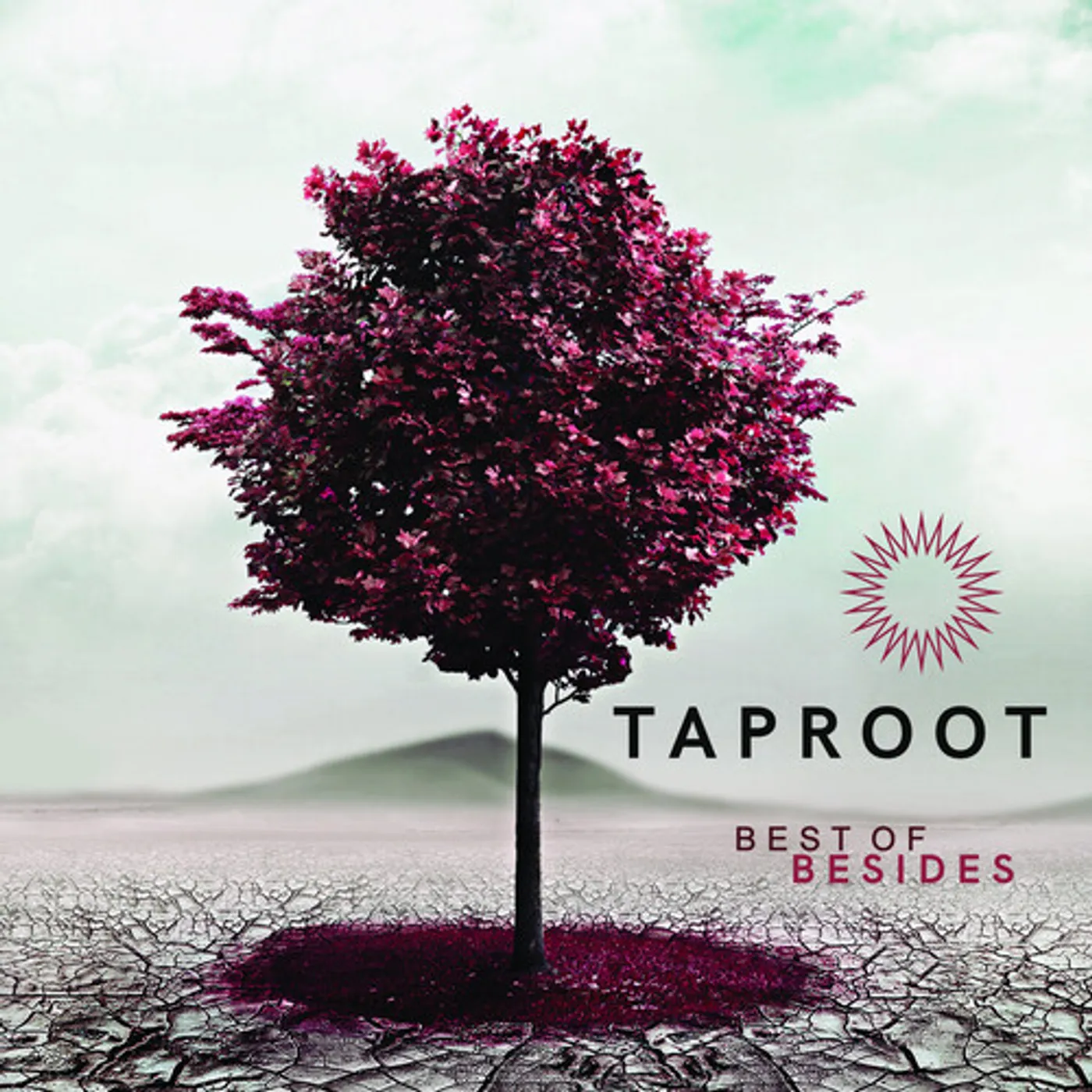 Taproot BEST OF BESIDES CD