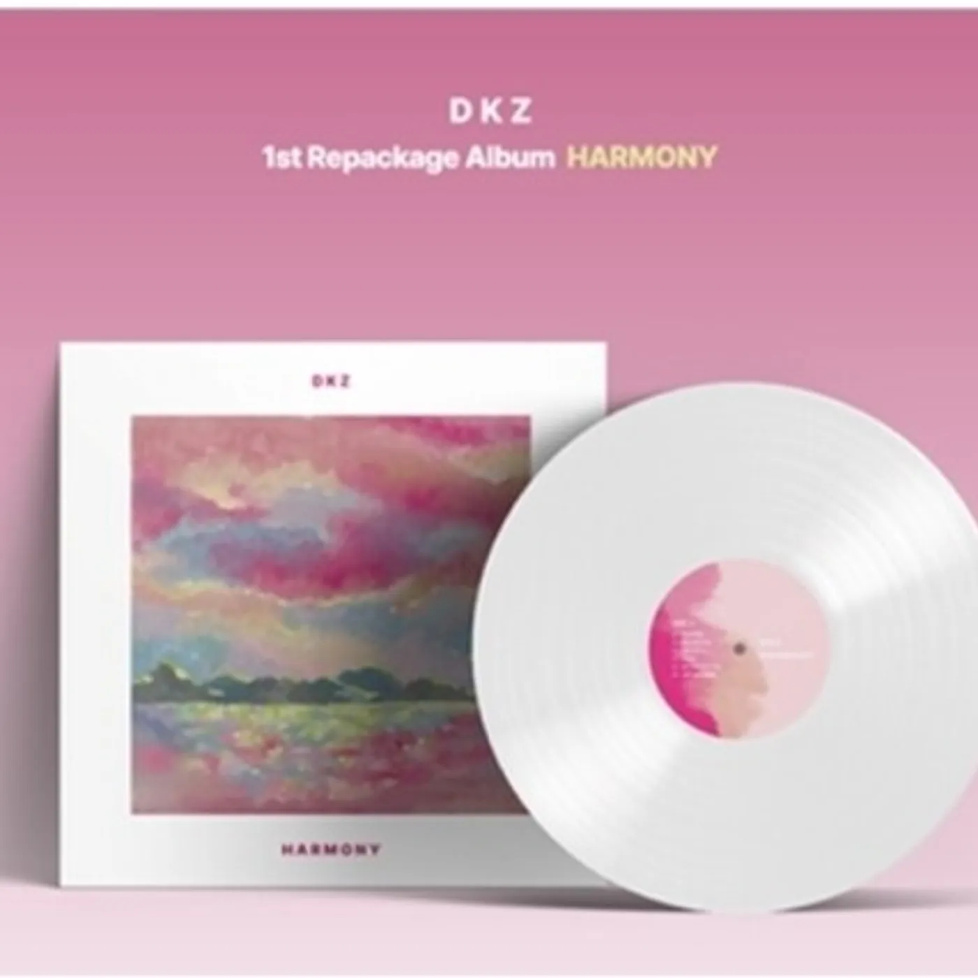 DKZ HARMONY Vinyl Record