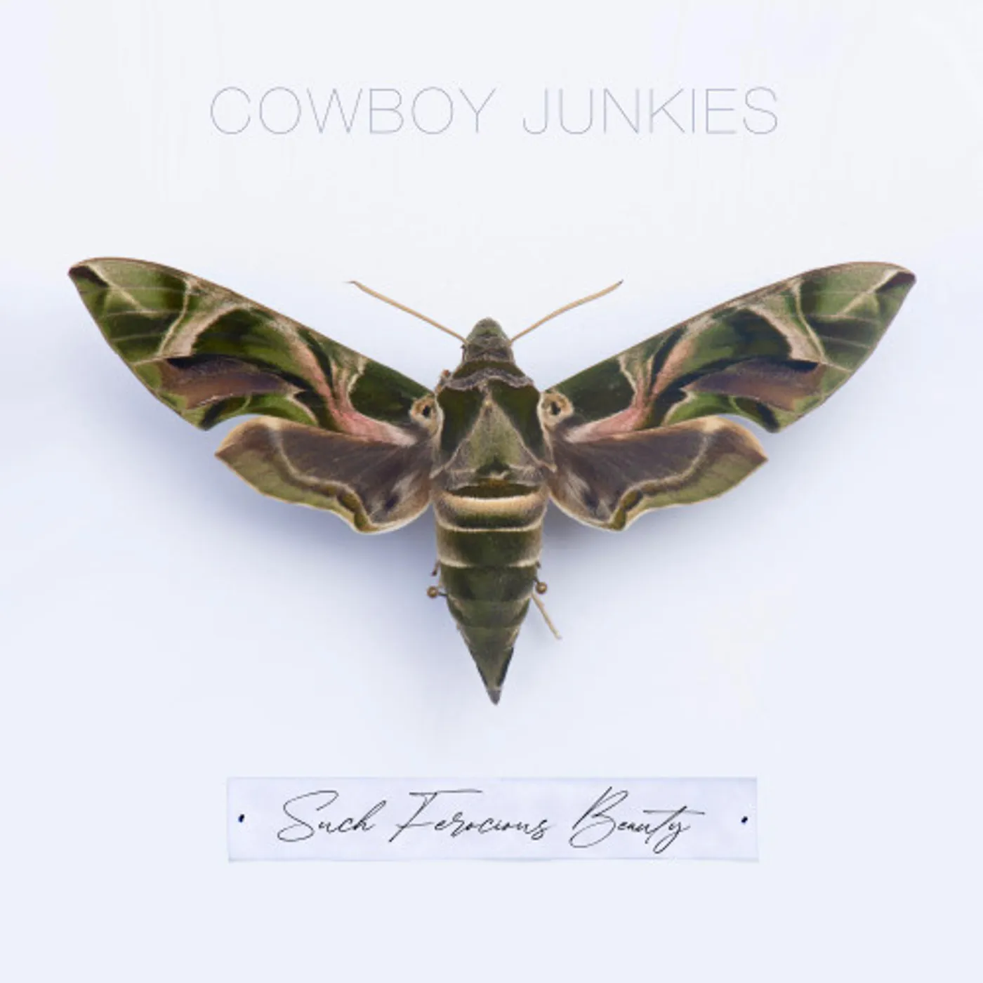 Cowboy Junkies Such Ferocious Beauty Vinyl Record