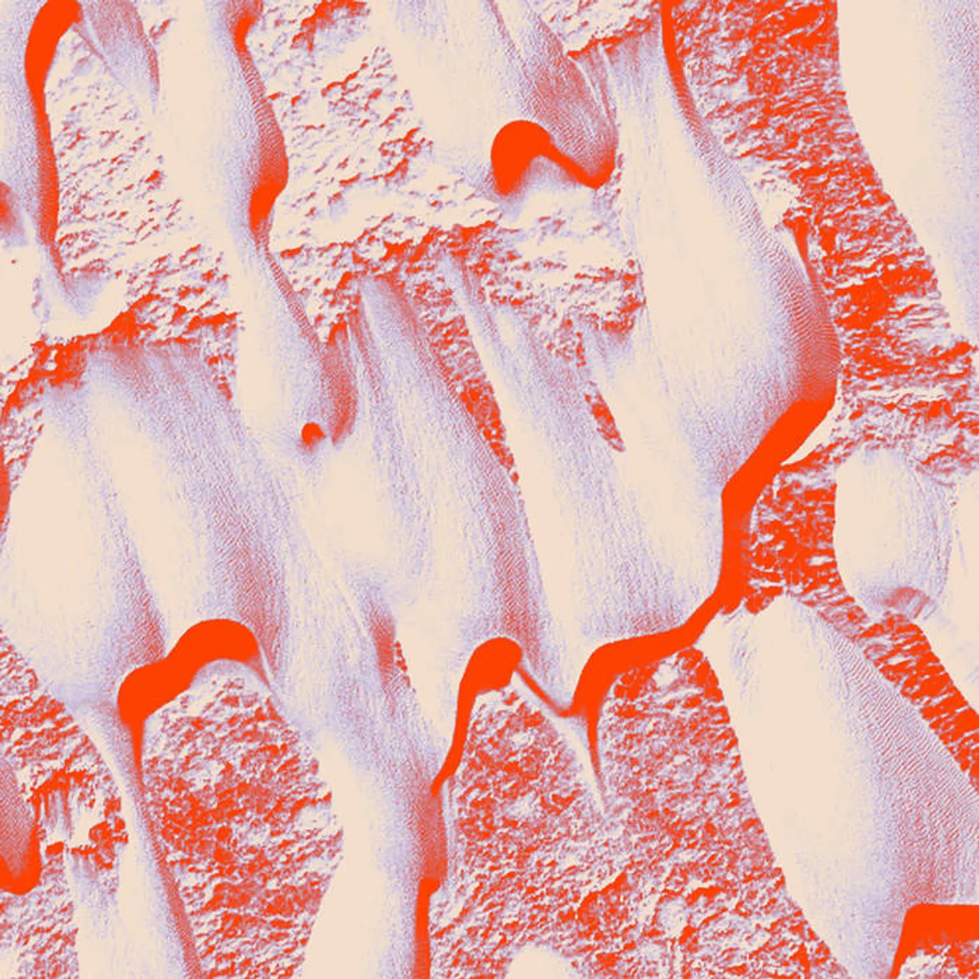 Pugilist NEGATIVE SPACE Vinyl Record