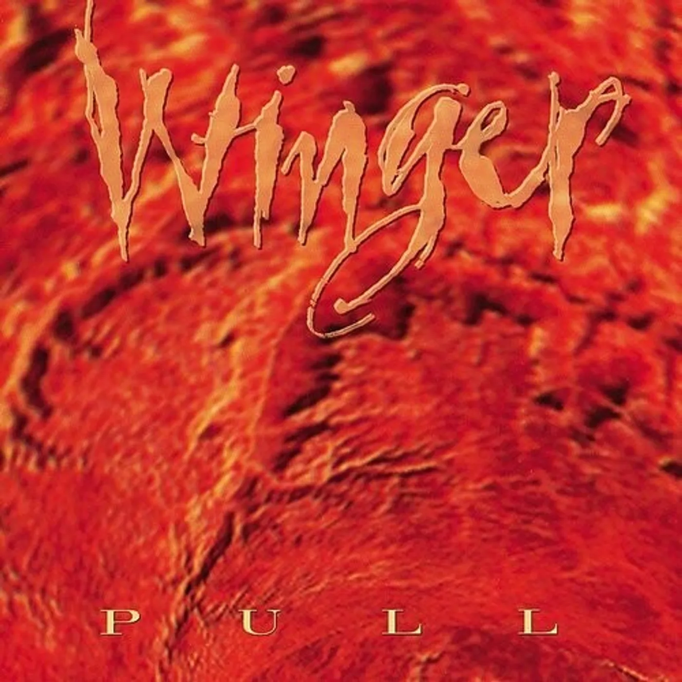 Winger Pull Vinyl Record