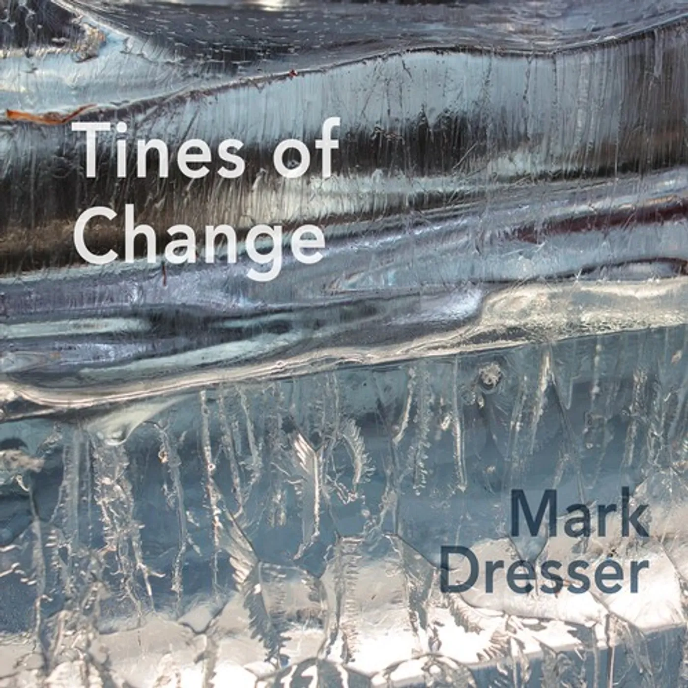 Mark Dresser TINES FOR CHANGE CD